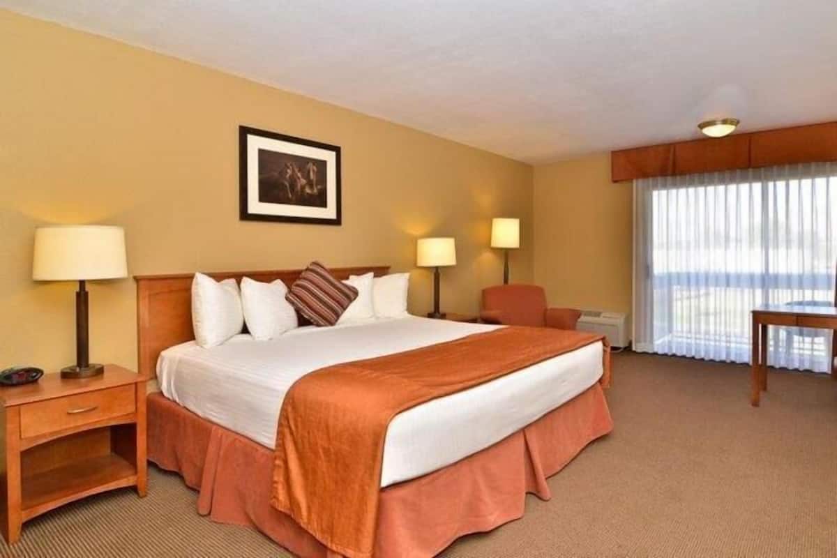 Hypo-allergenic bedding, desk, blackout curtains, iron/ironing board