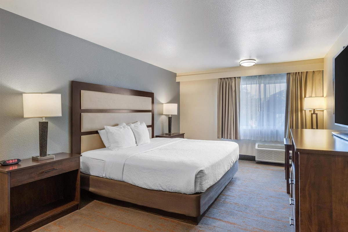 Une chambre d’hôtel avec un lit, des tables de chevet, des lampes, une télévision et une fenêtre avec des rideaux.