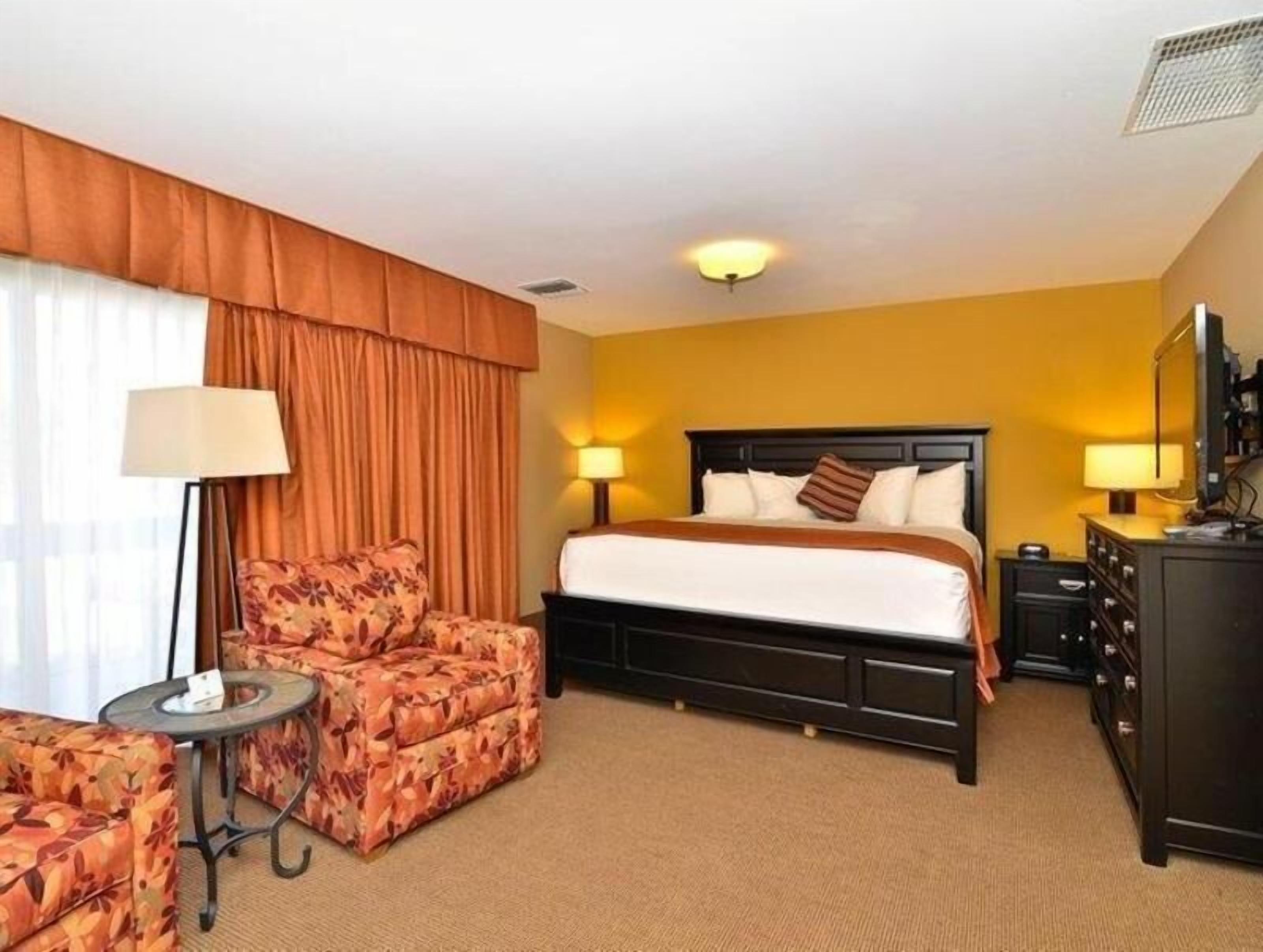 Hypo-allergenic bedding, desk, blackout drapes, iron/ironing board