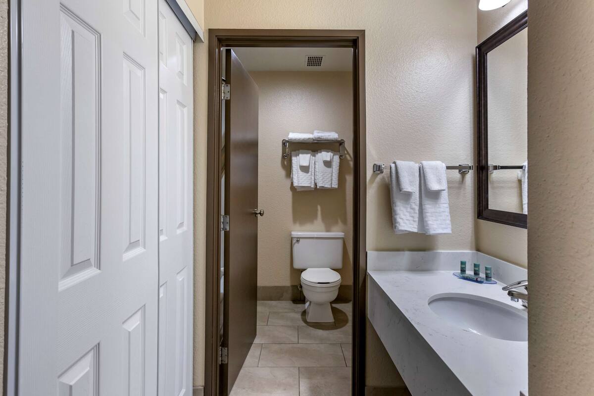 combined shower/bathtub, free toiletries, hair dryer, towels