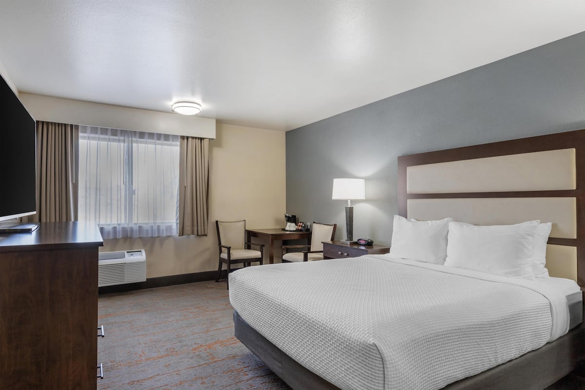 A hotel room with a bed, a desk, a chair, a television, and a lamp.