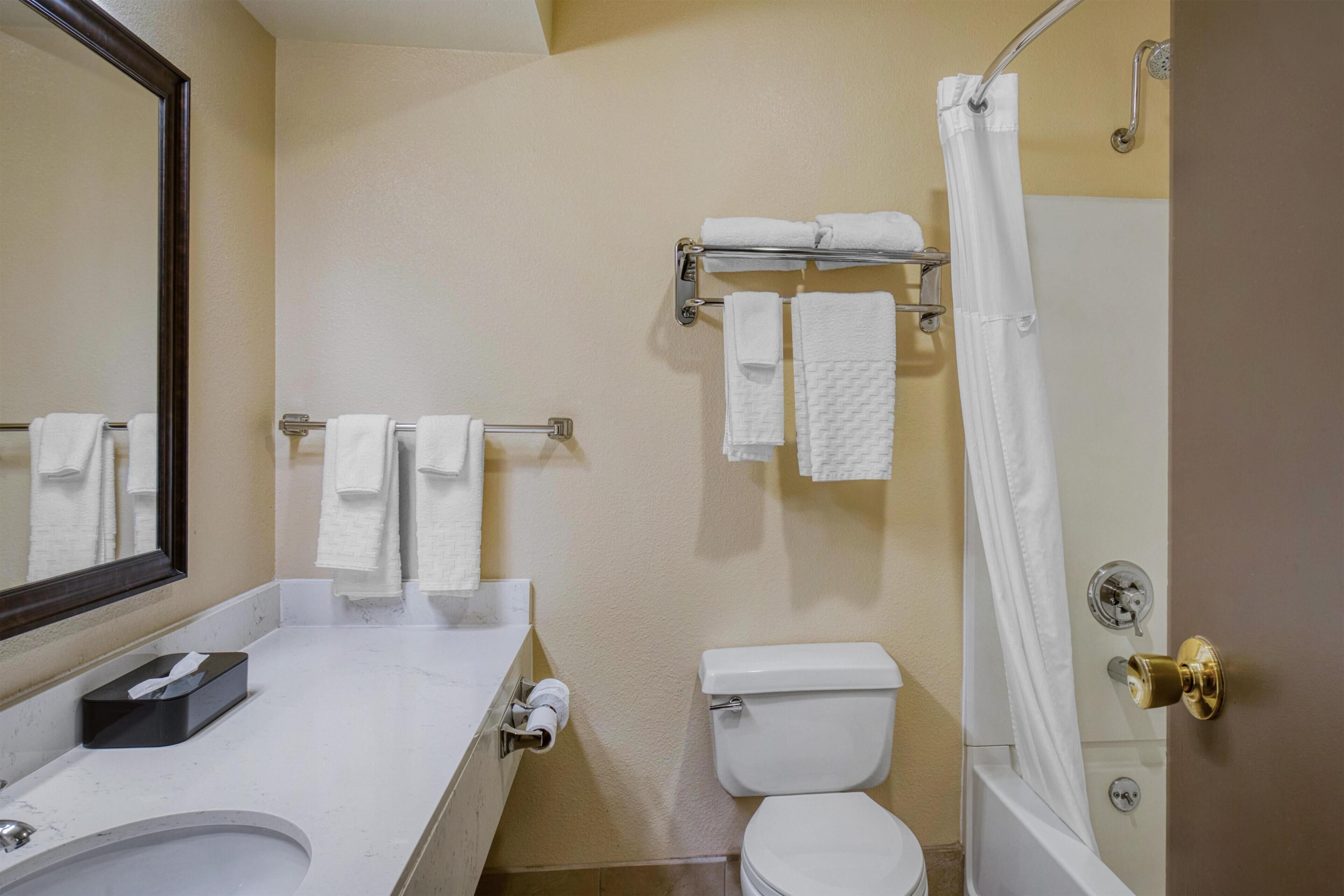 A bathroom with a sink, toilet, and shower.