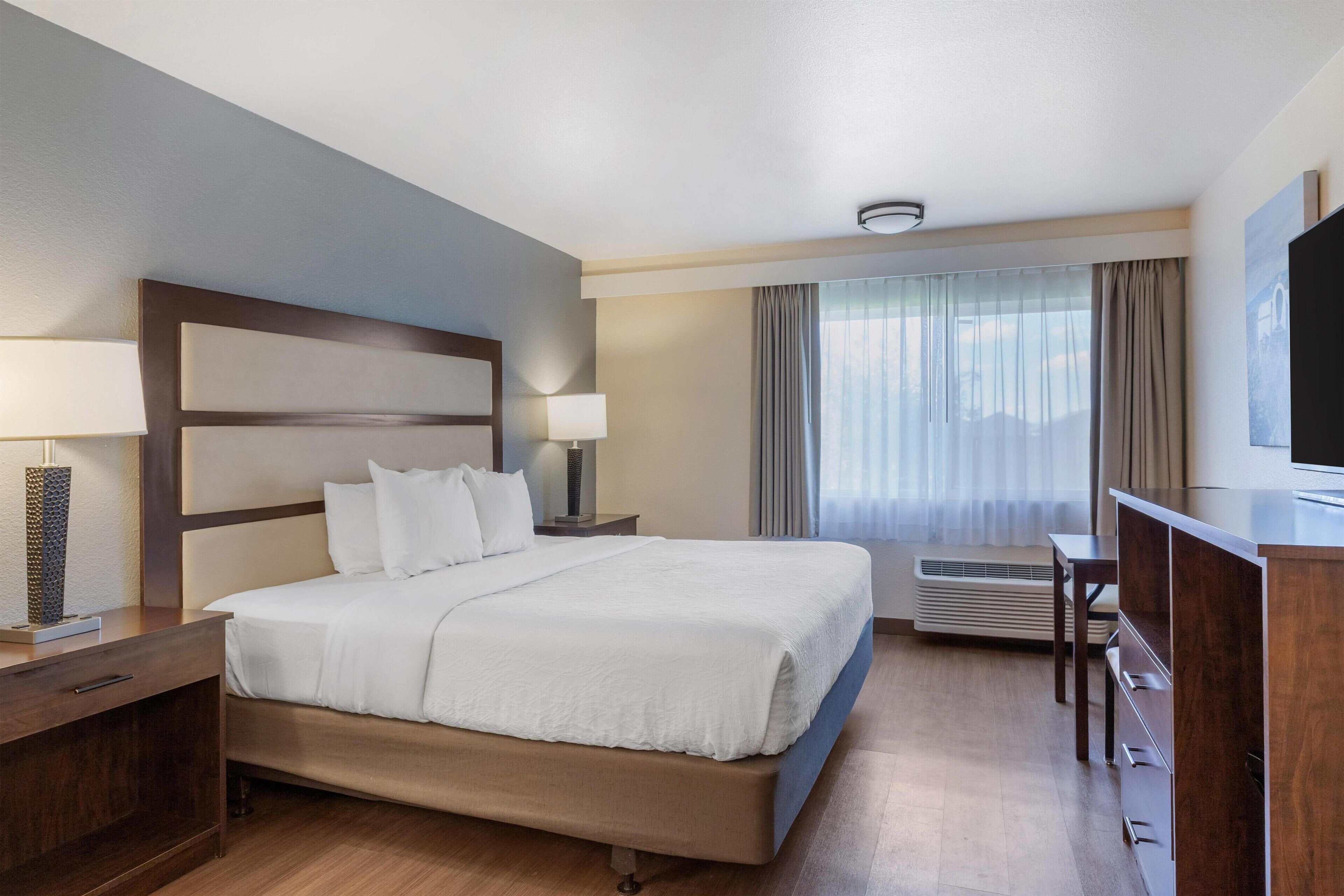 Standard Room, 1 King Bed, Refrigerator & Microwave (Pet Friendly, Roll In Shower)