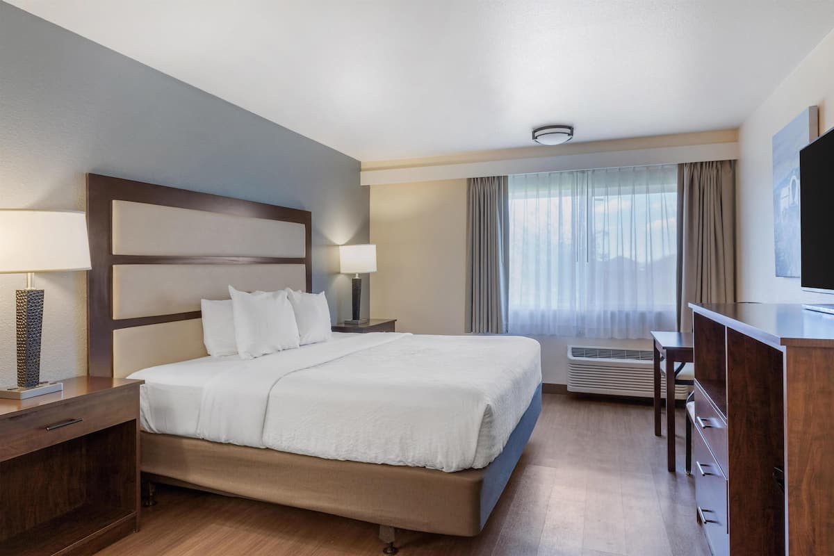 Une chambre d’hôtel avec un grand lit, des tables de chevet avec des lampes, un bureau avec une chaise et un téléviseur.