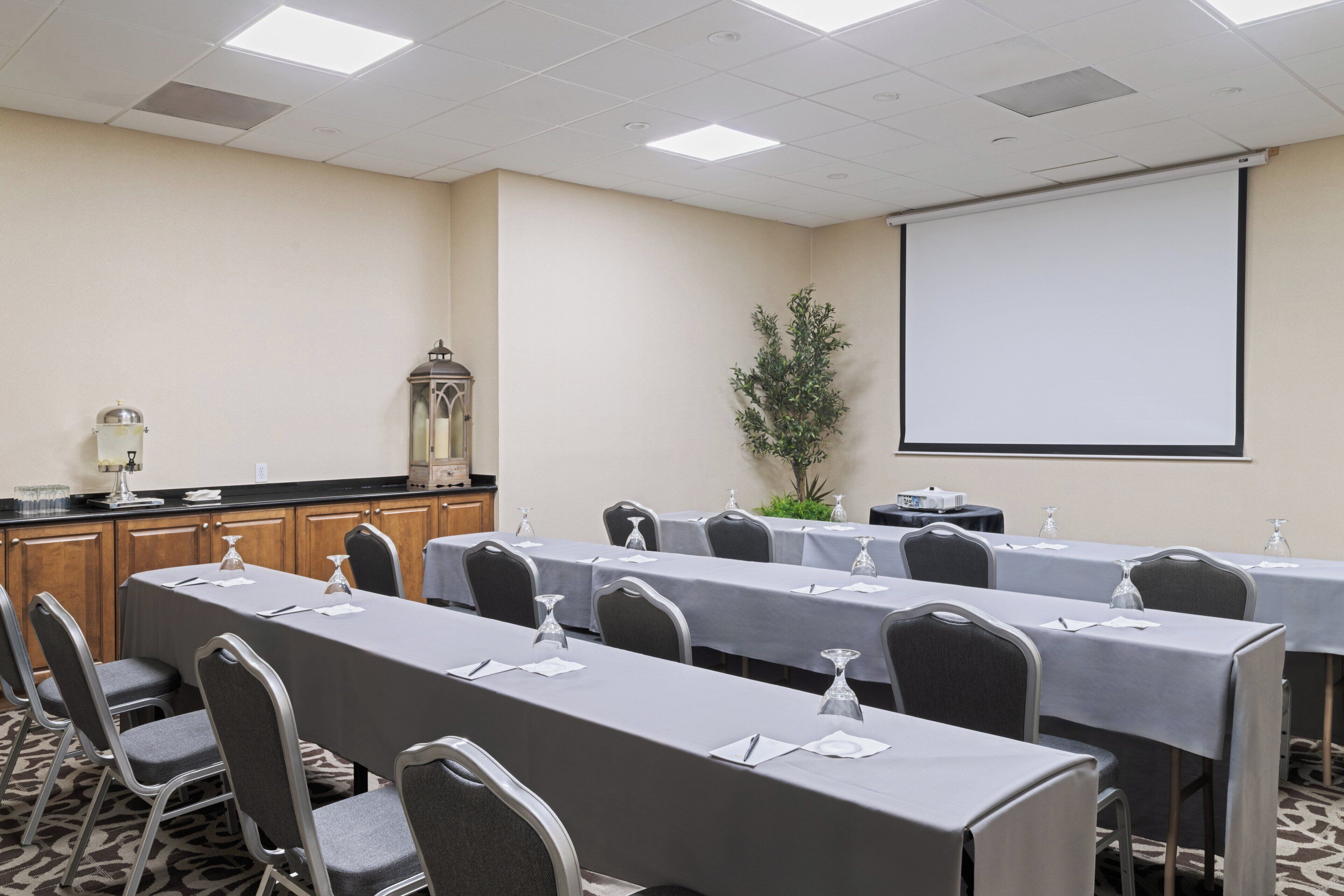 A conference room with long tables, chairs, a projector screen, and a plant.