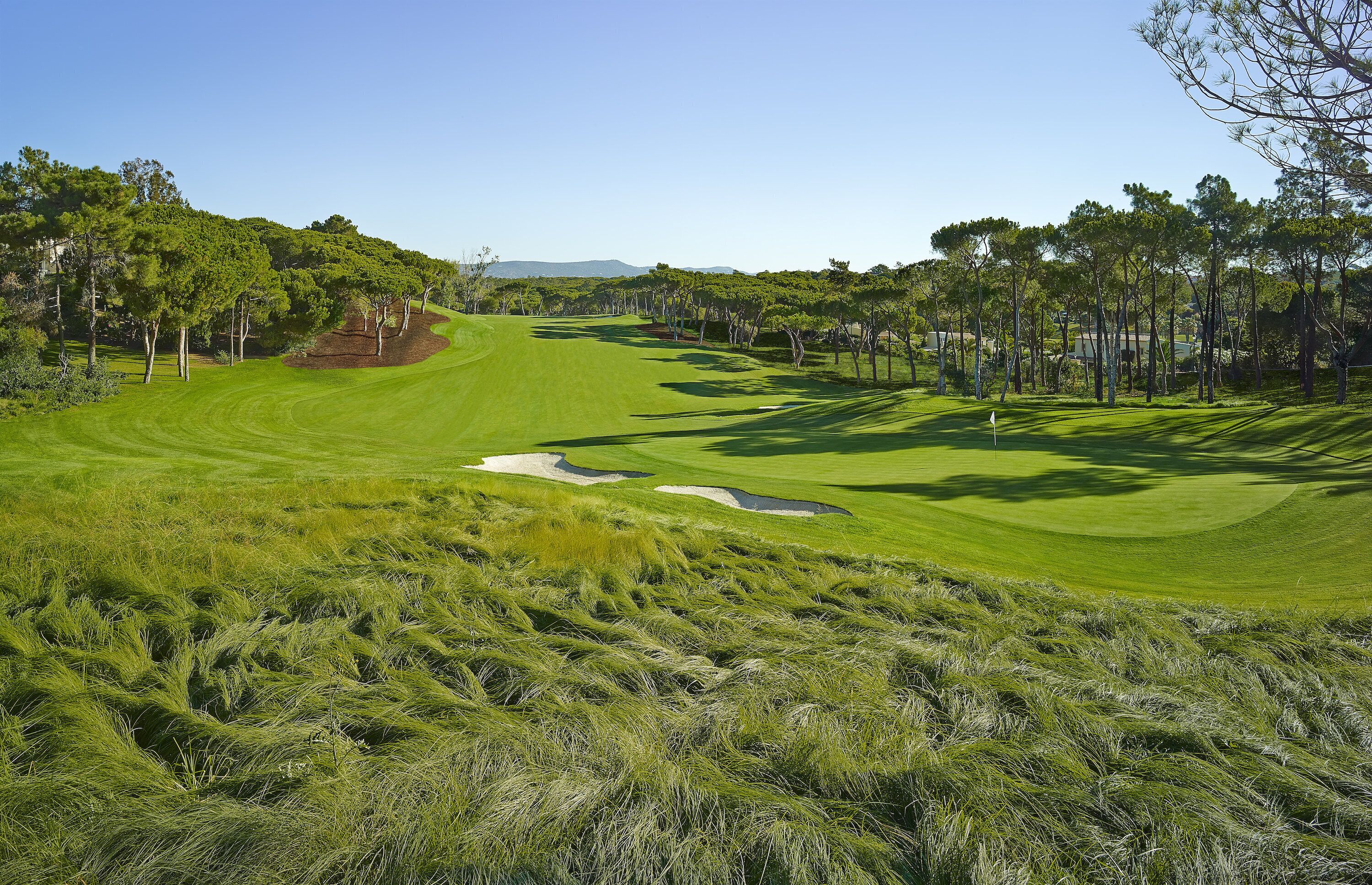 A golf course with a clear sky, green grass, trees, and a flagstick.