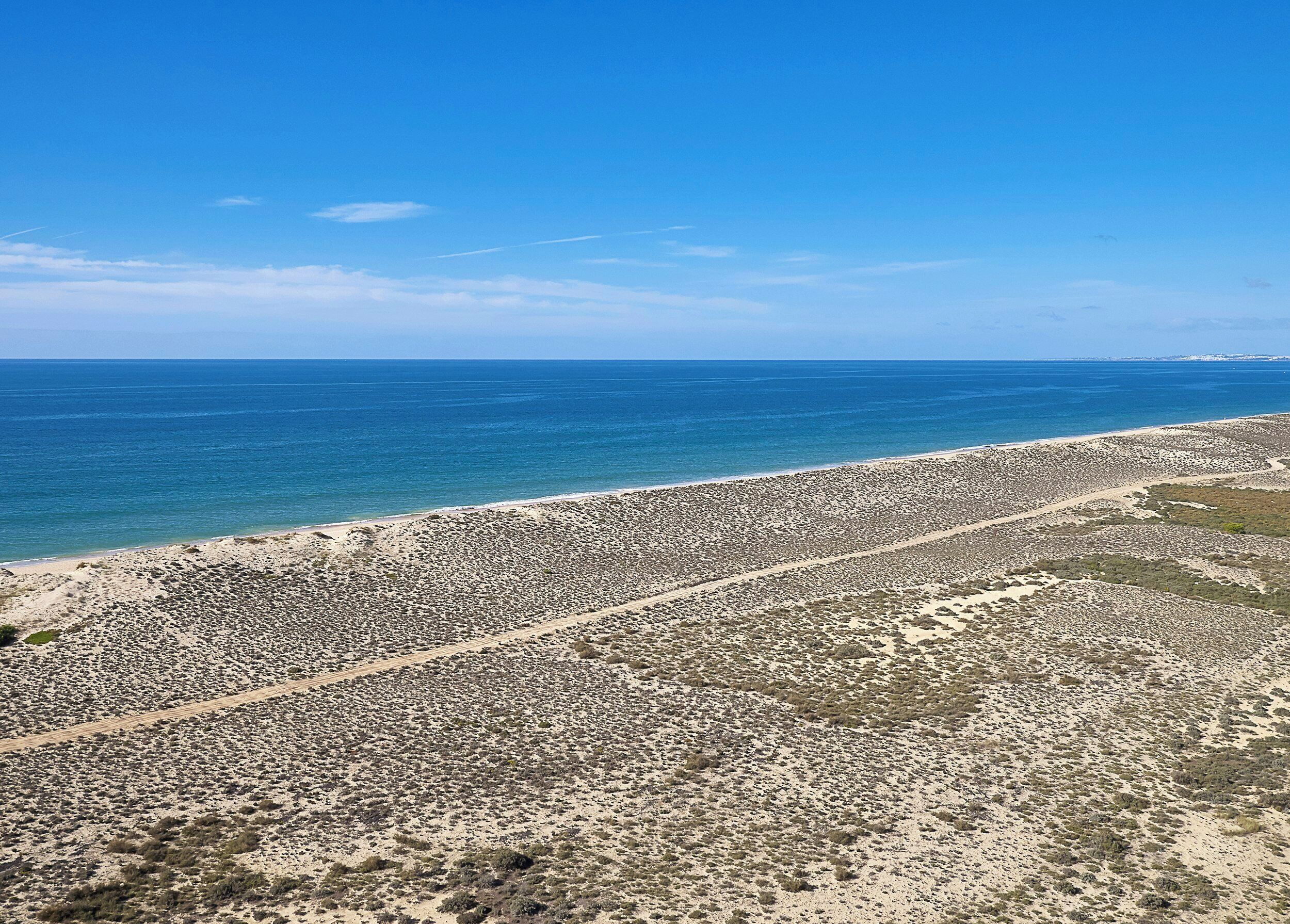 Un paisaje costero con una playa rocosa y un cielo azul despejado.