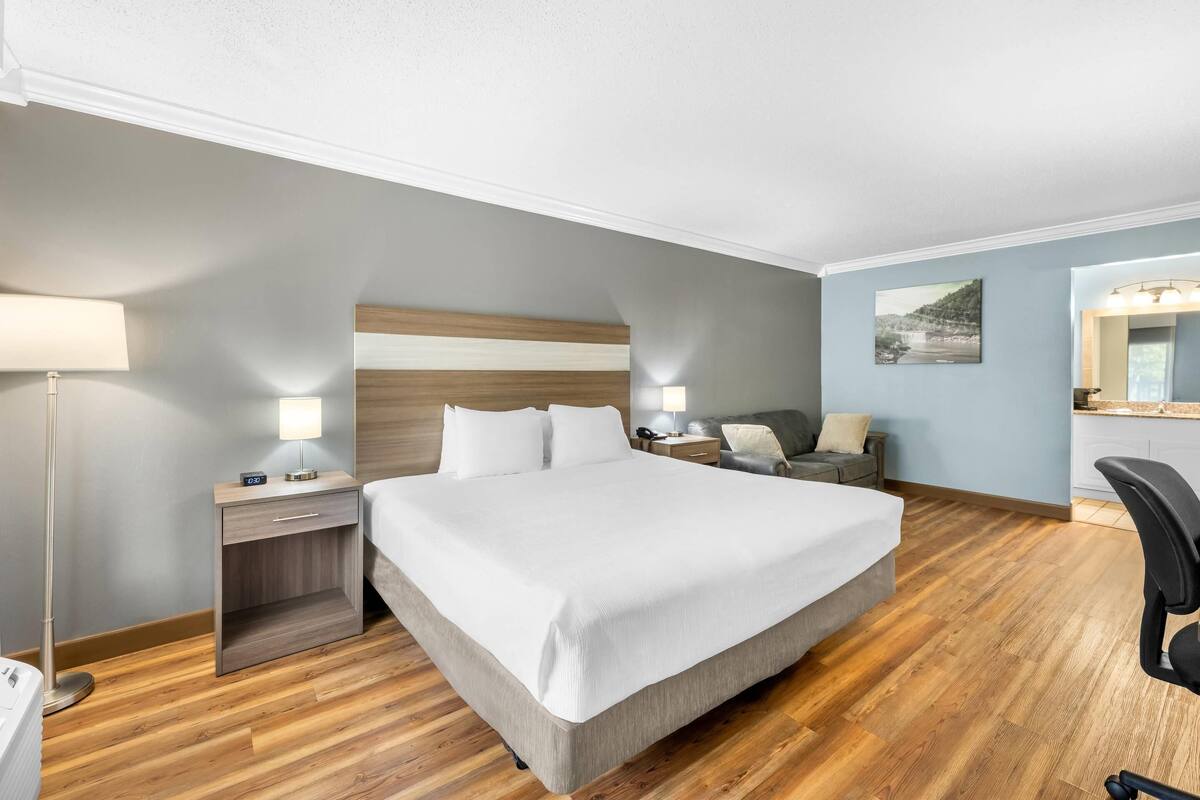 Standard Room, 1 King Bed with Sofa bed, Non Smoking | Iron/ironing board, cribs (free), rollaway beds (surcharge), WiFi (free)