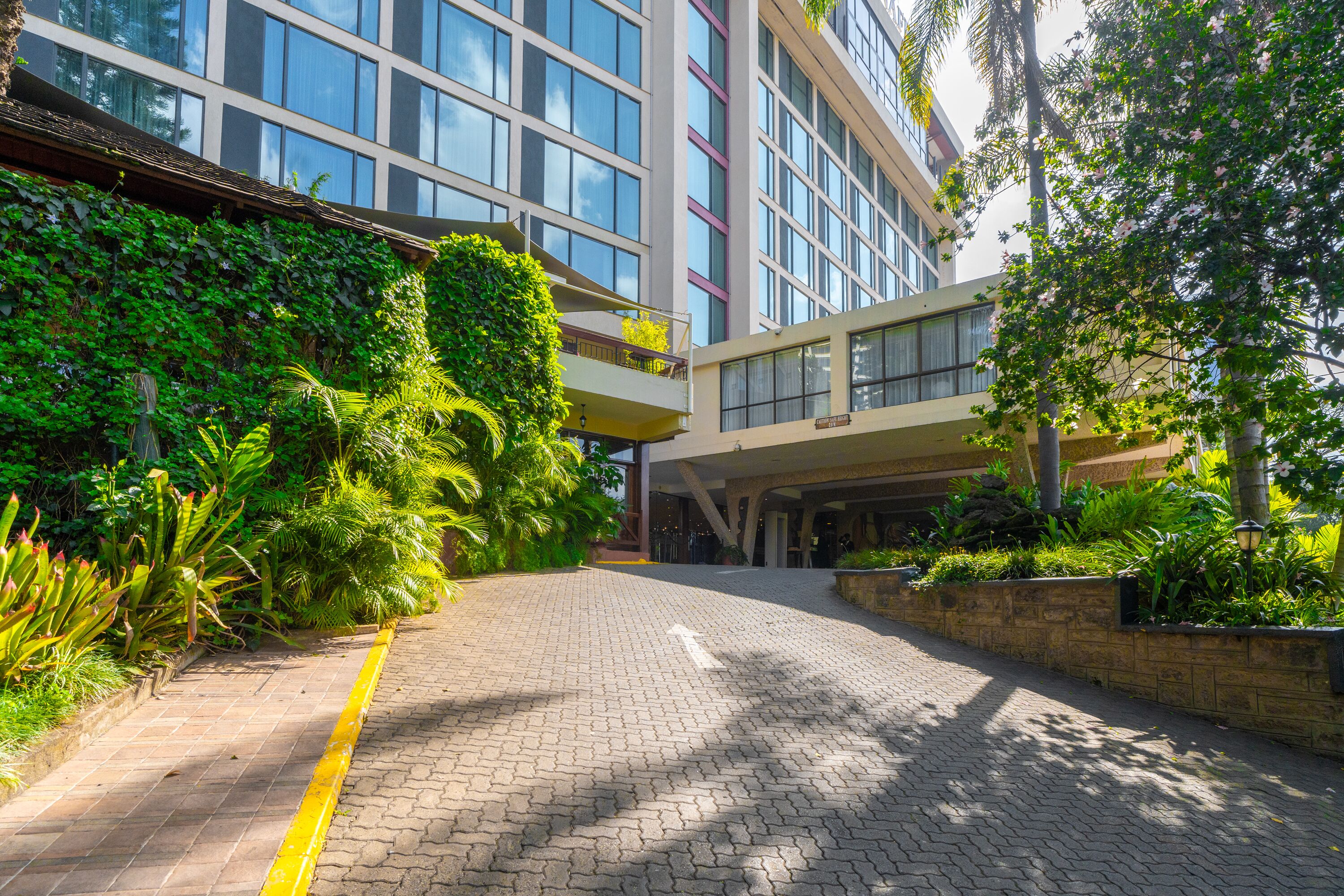 A modern building with a paved walkway, lush greenery, and a clear sky.