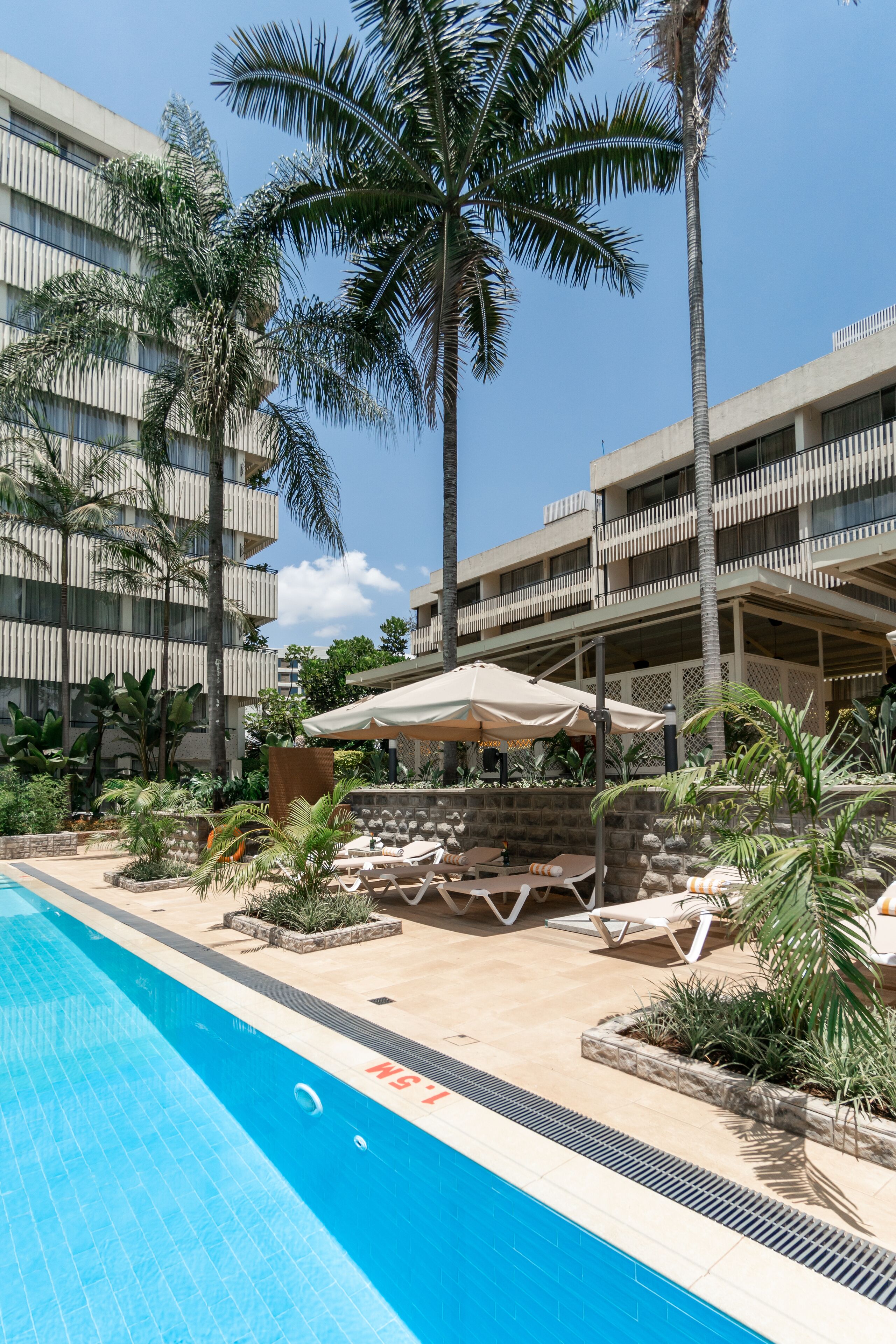 A pool area with lounge chairs and umbrellas, surrounded by palm trees and a multi-story building.