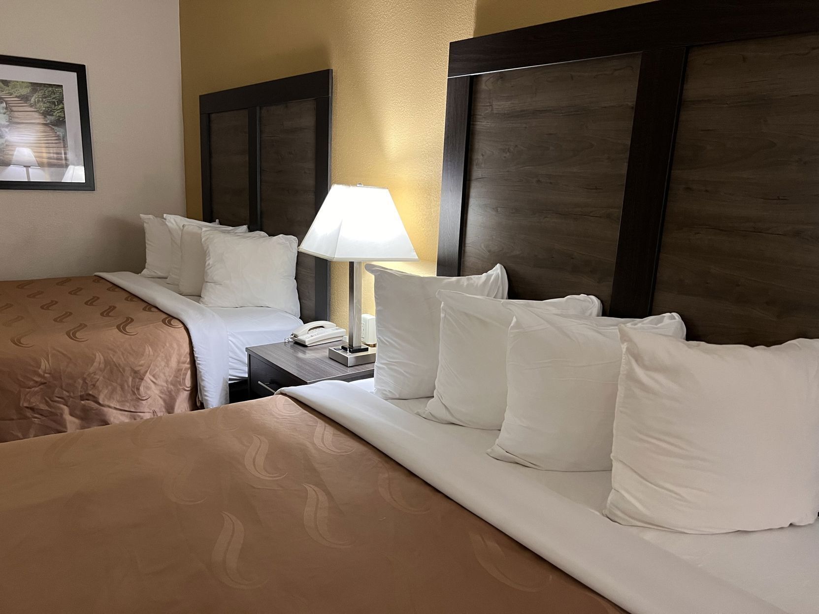Desk, free WiFi, bed sheets