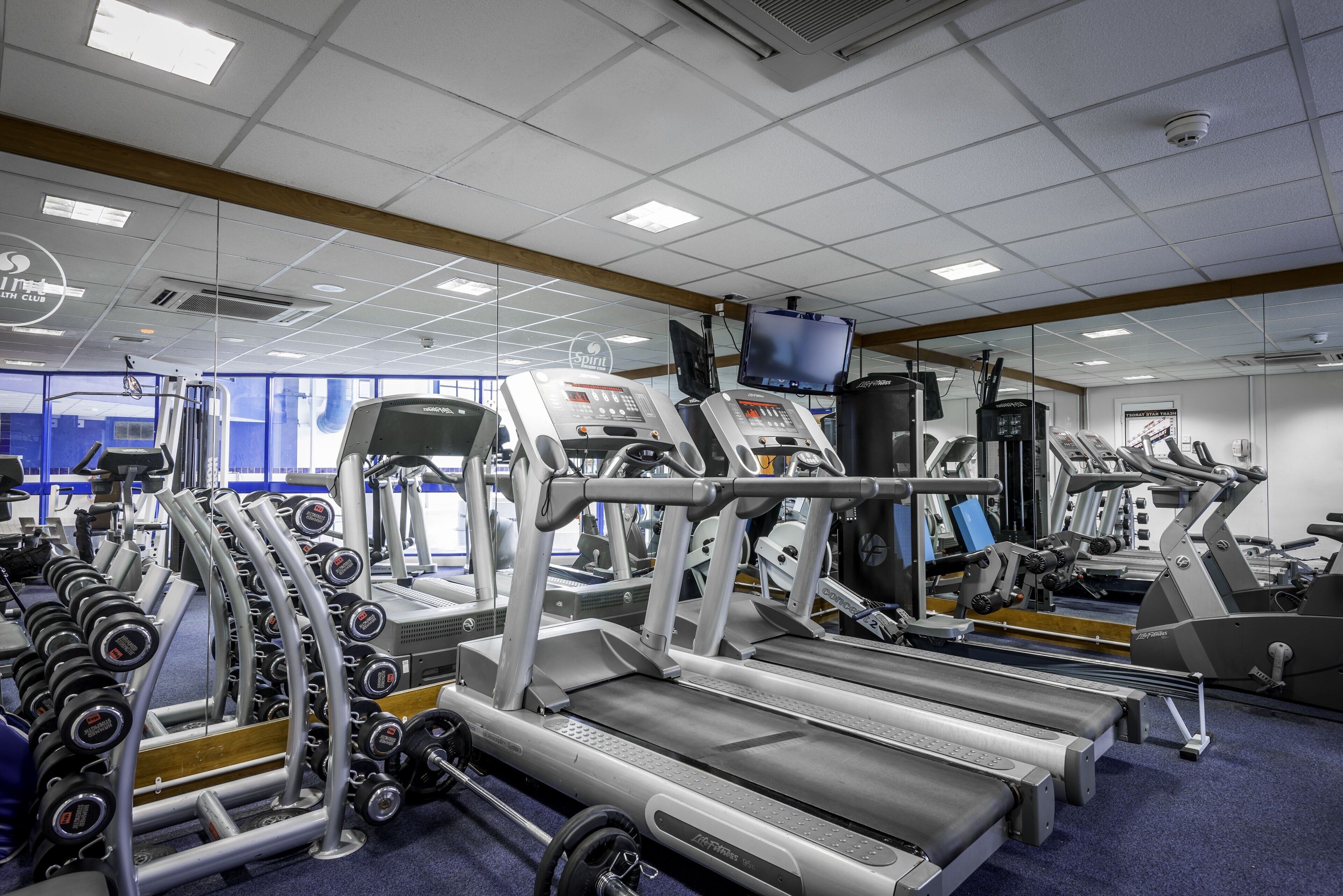A gym with treadmills, weight machines, and dumbbells.
