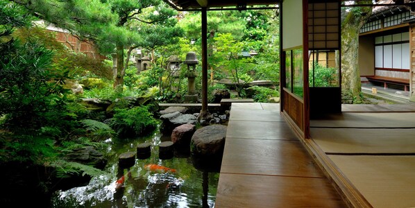 Land view from property