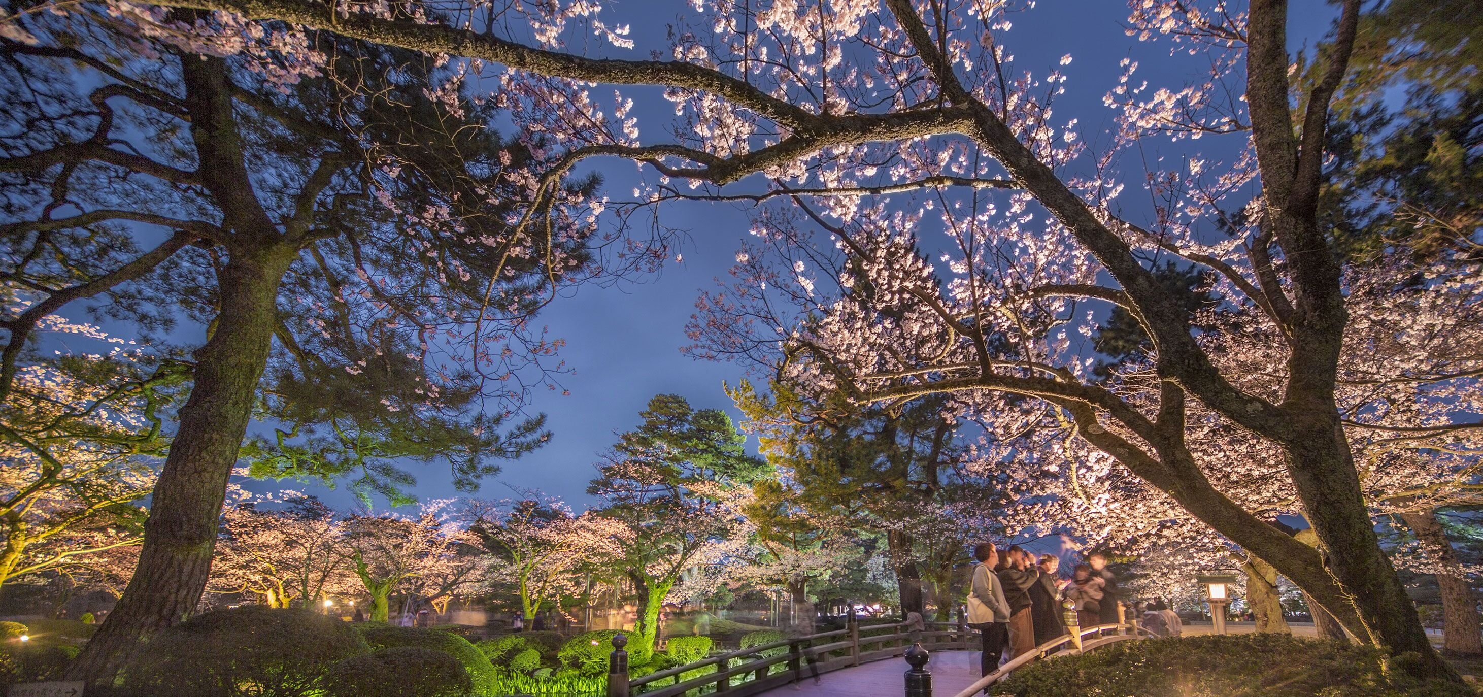 land view from property