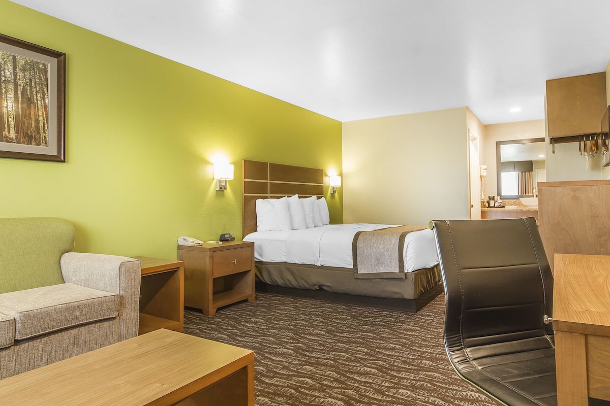 Studio Suite, 1 King Bed, Non Smoking | Desk, laptop workspace, blackout curtains, iron/ironing board