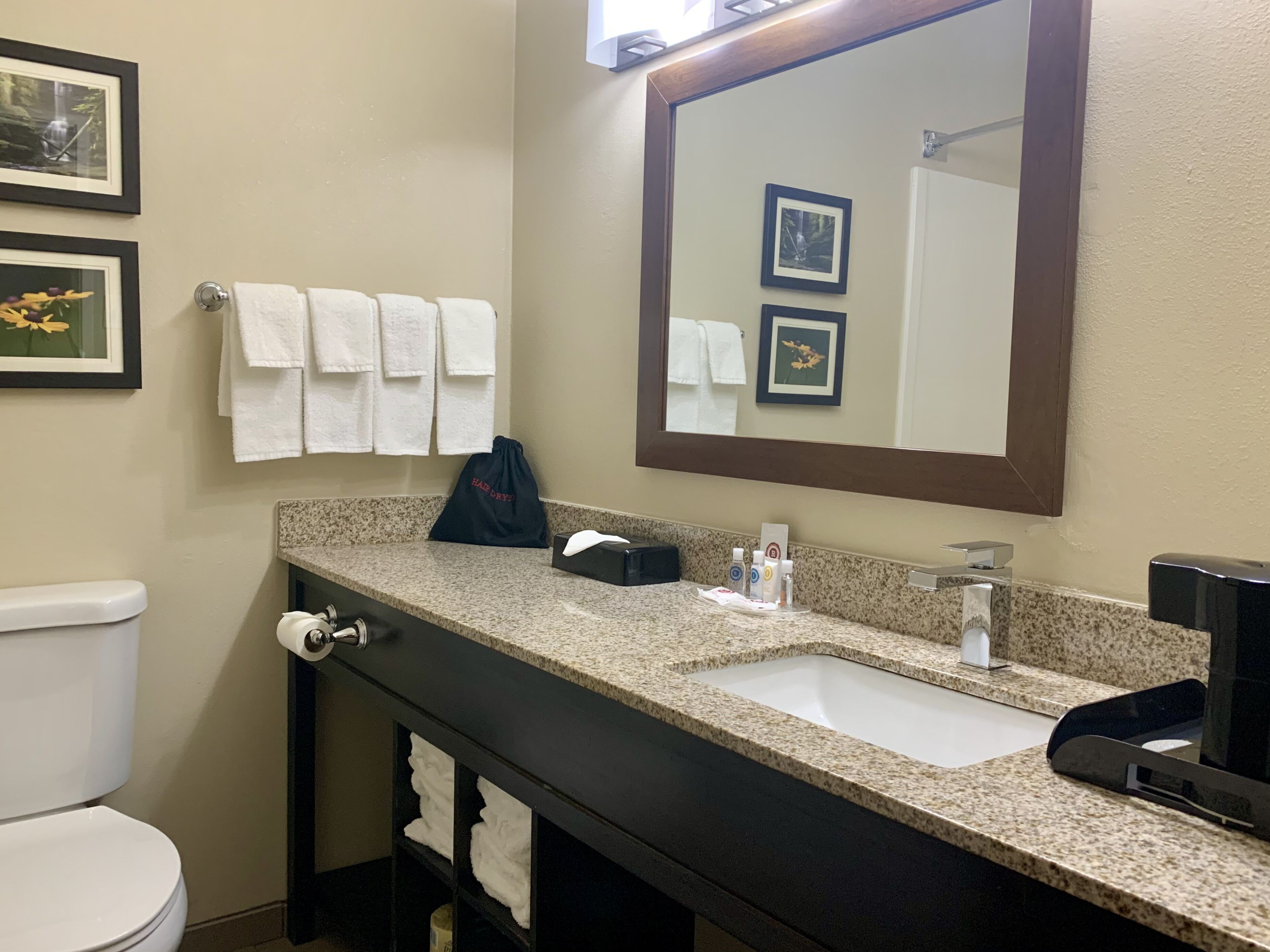 suite, 1 king bed, non smoking | bathroom | free toiletries, hair dryer, towels, soap
