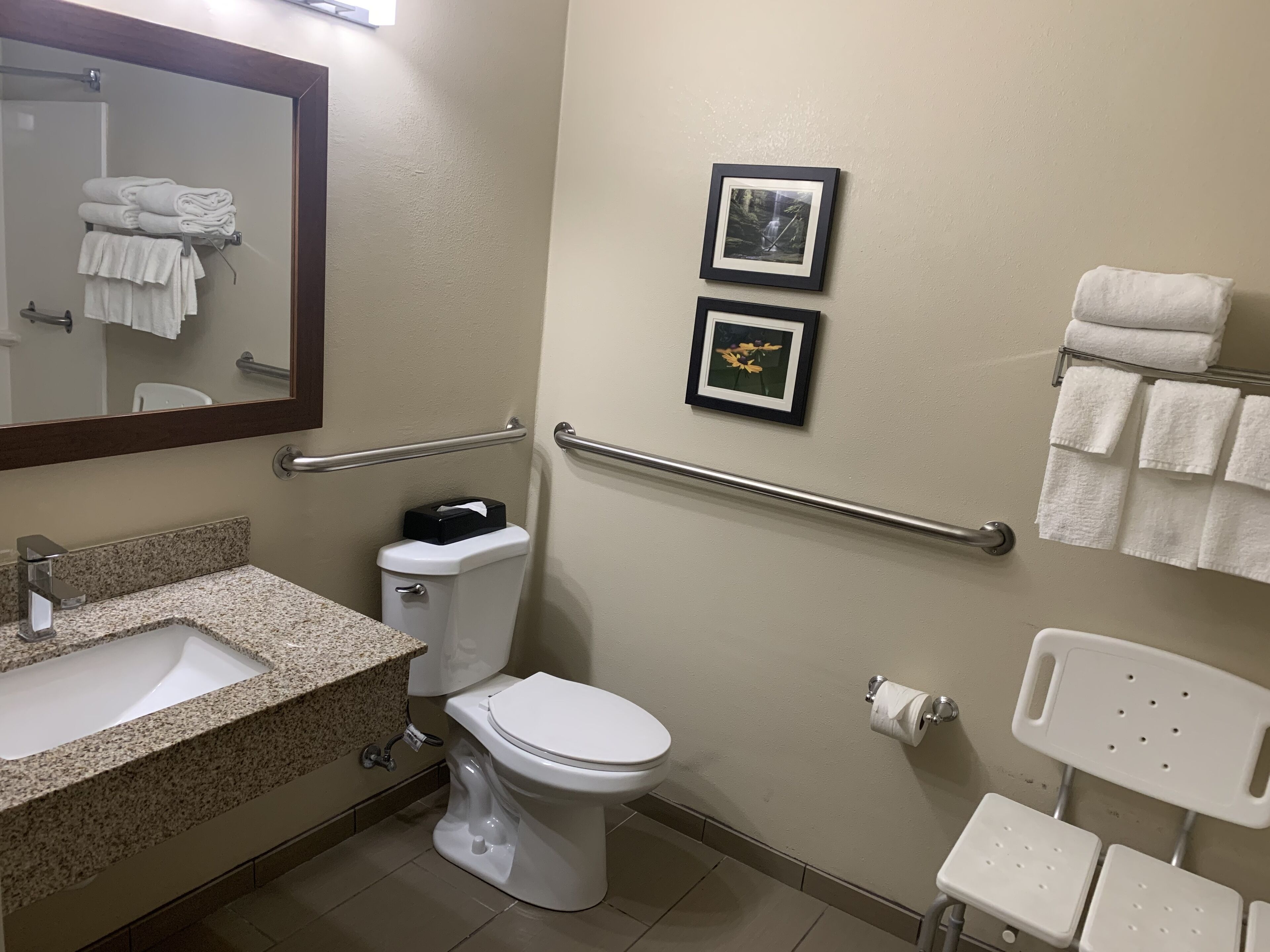 suite, 1 queen bed with sofa bed, accessible, non smoking (accessible tub) | bathroom | free toiletries, hair dryer, towels, soap