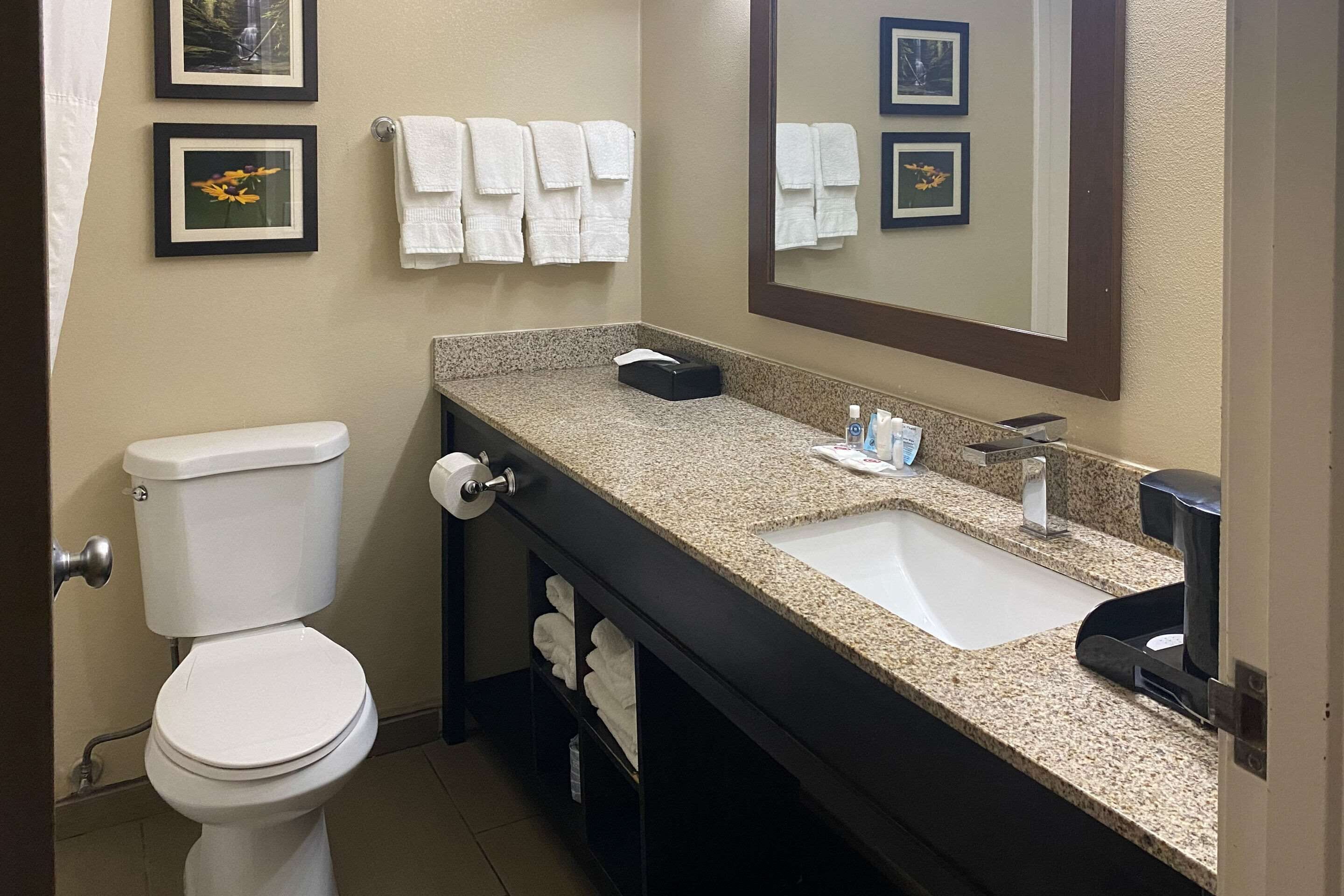 suite, 2 queen beds, non smoking | desk, laptop workspace, blackout curtains, iron/ironing board