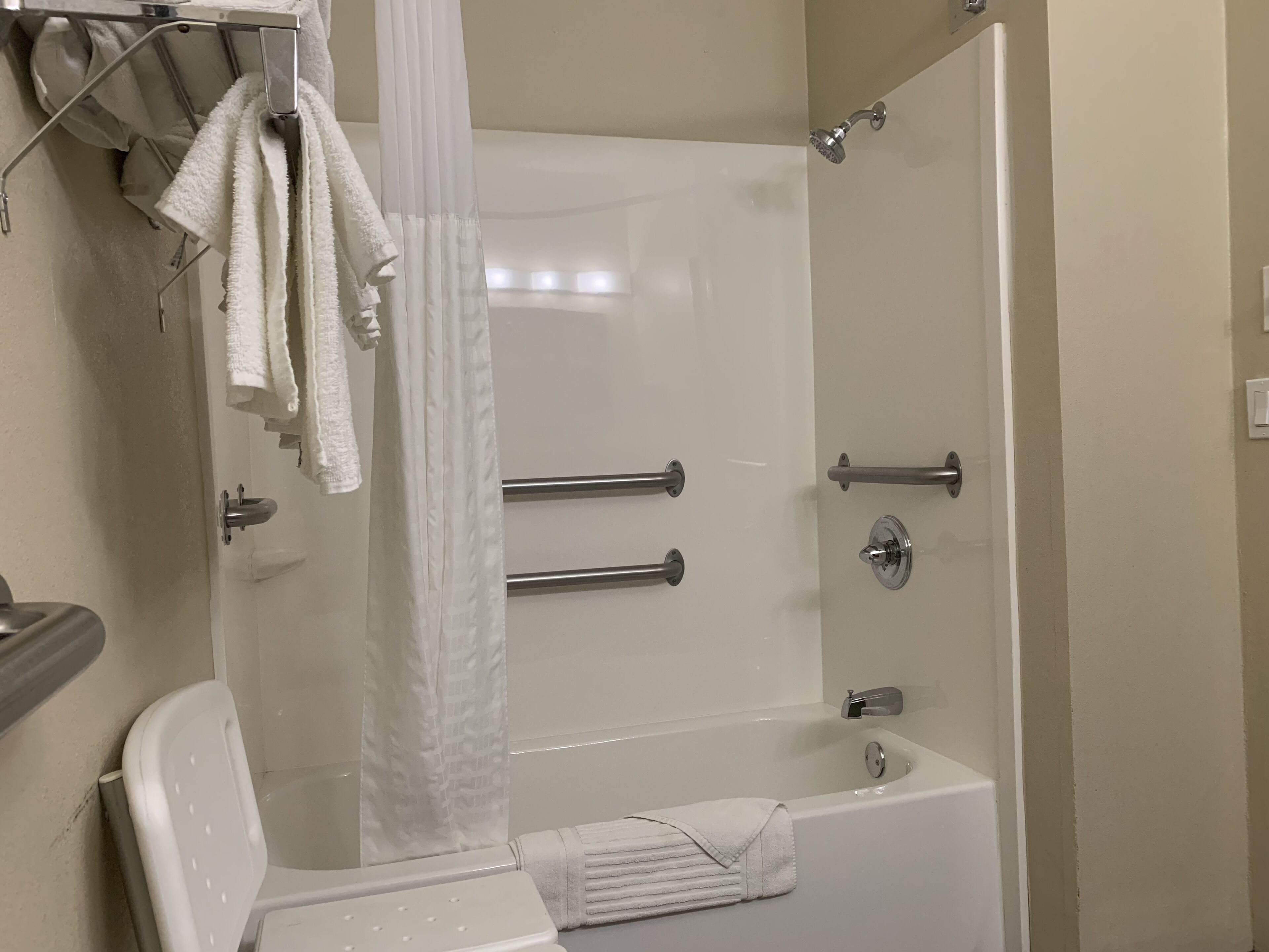 suite, 1 queen bed with sofa bed, accessible, non smoking (accessible tub) | bathroom | free toiletries, hair dryer, towels, soap