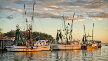 Un puerto con varios barcos pesqueros amarrados.