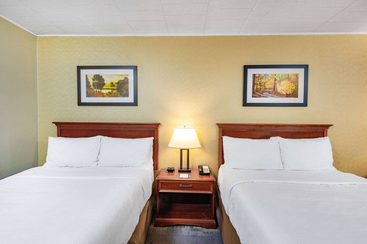 Une chambre d’hôtel avec deux lits, une table de chevet avec une lampe et deux tableaux encadrés au mur.