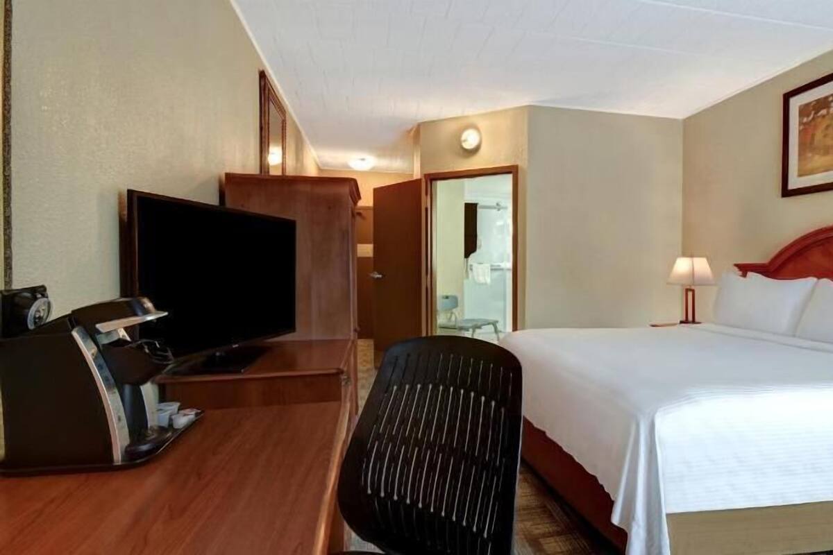 Une chambre d’hôtel avec un lit, un bureau avec une télévision, une chaise et un tableau au mur.