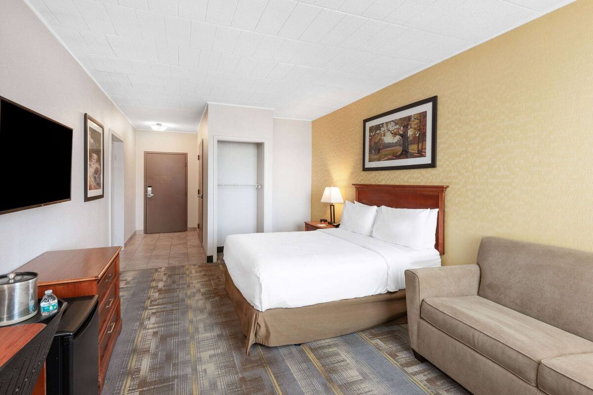 Une chambre d’hôtel avec un lit, un canapé, un bureau avec une lampe, une télévision et un tableau au mur.