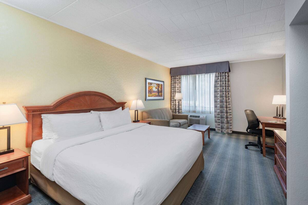 Une chambre d’hôtel avec un grand lit, un bureau, une chaise, un canapé et une fenêtre avec des rideaux.