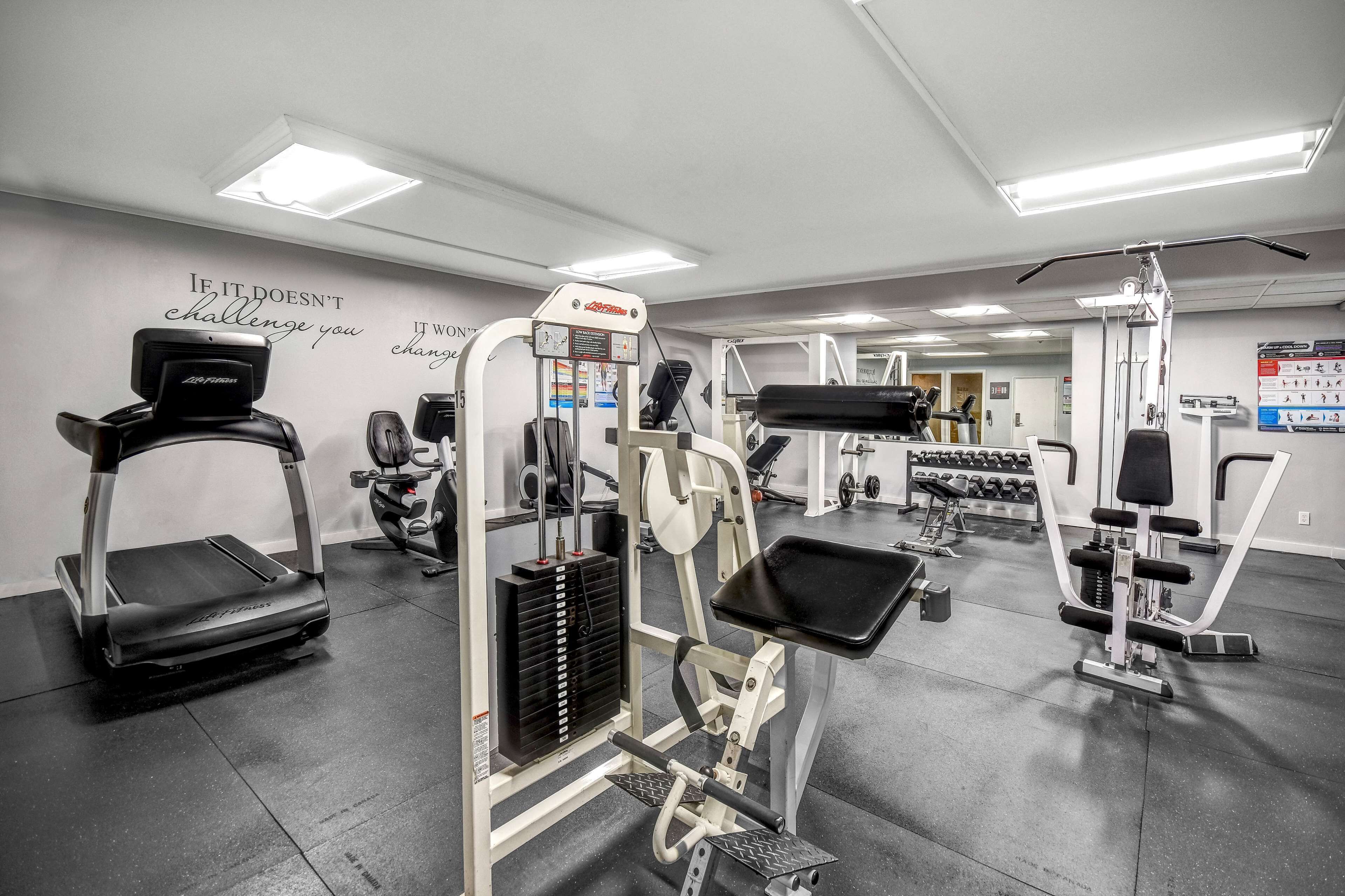 Een fitnessruimte met loopbanden, krachttoestellen en gewichten.