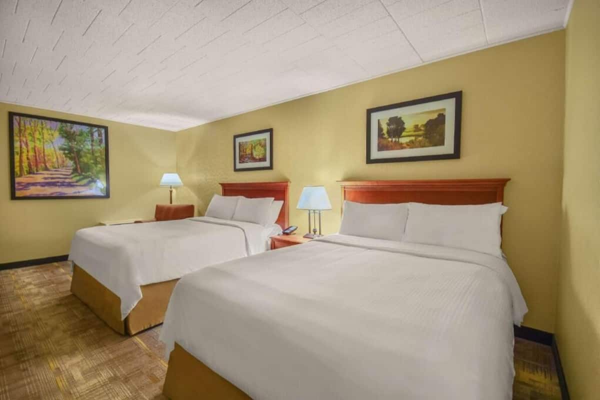 Une chambre d’hôtel avec deux lits, un plafond orné d’un motif en réseau et trois œuvres d’art encadrées accrochées aux murs.