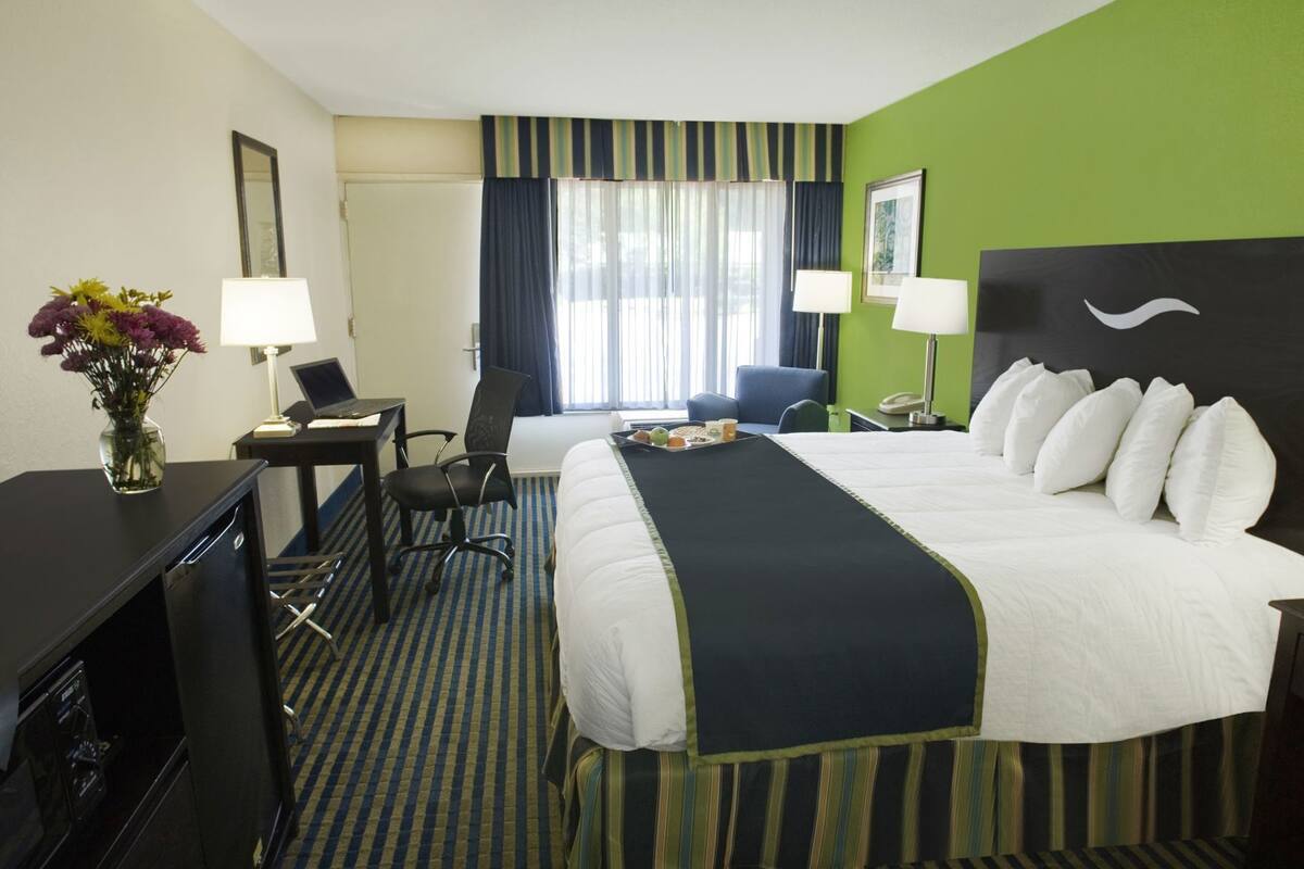 Habitación de hotel con cama, escritorio, silla, lámparas y un jarrón con flores.