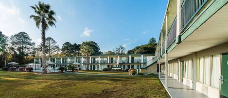 A motel with a central lawn, multiple rooms, and a palm tree.