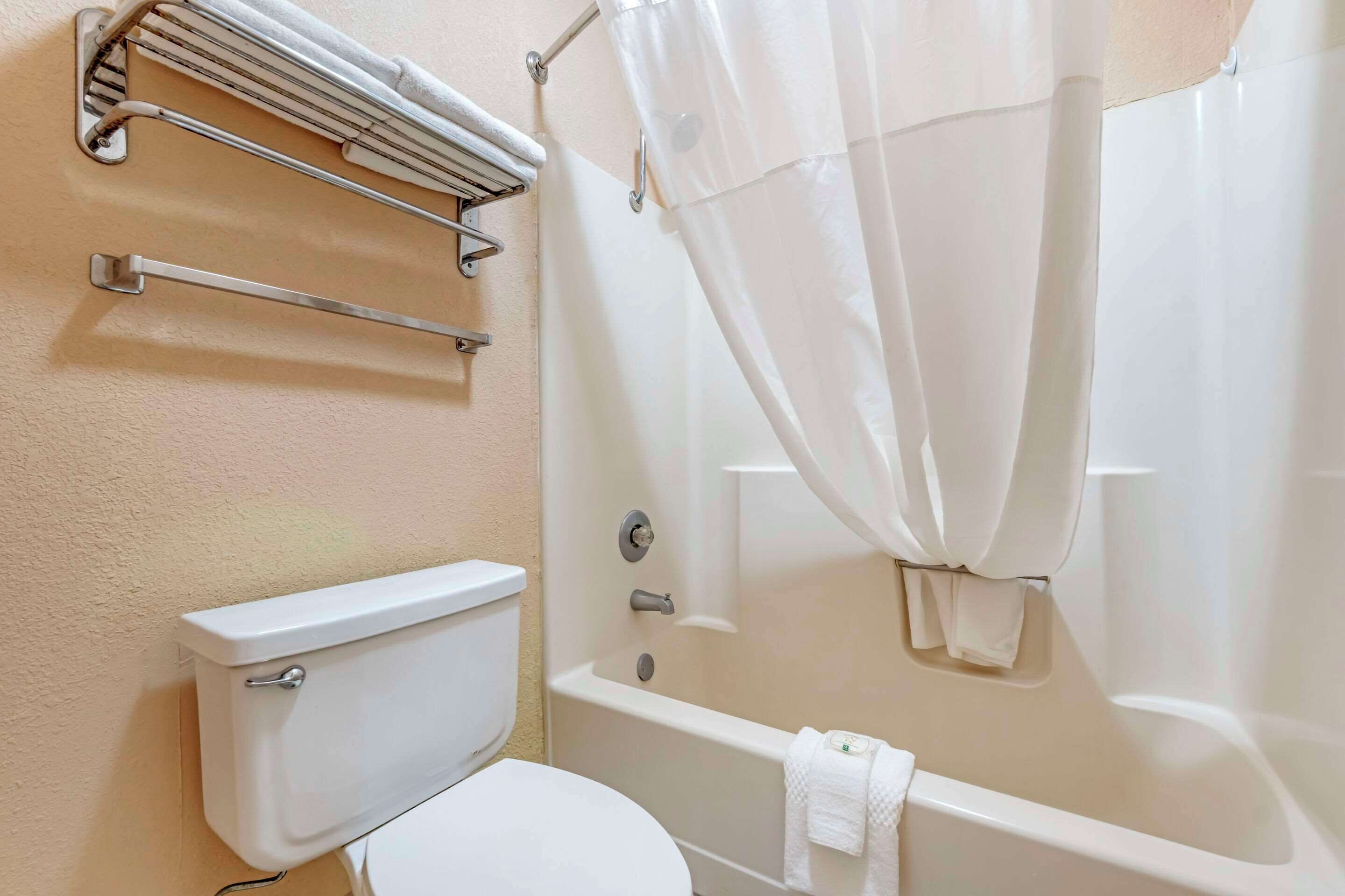 A bathroom with a toilet, a bathtub, and a shower curtain.