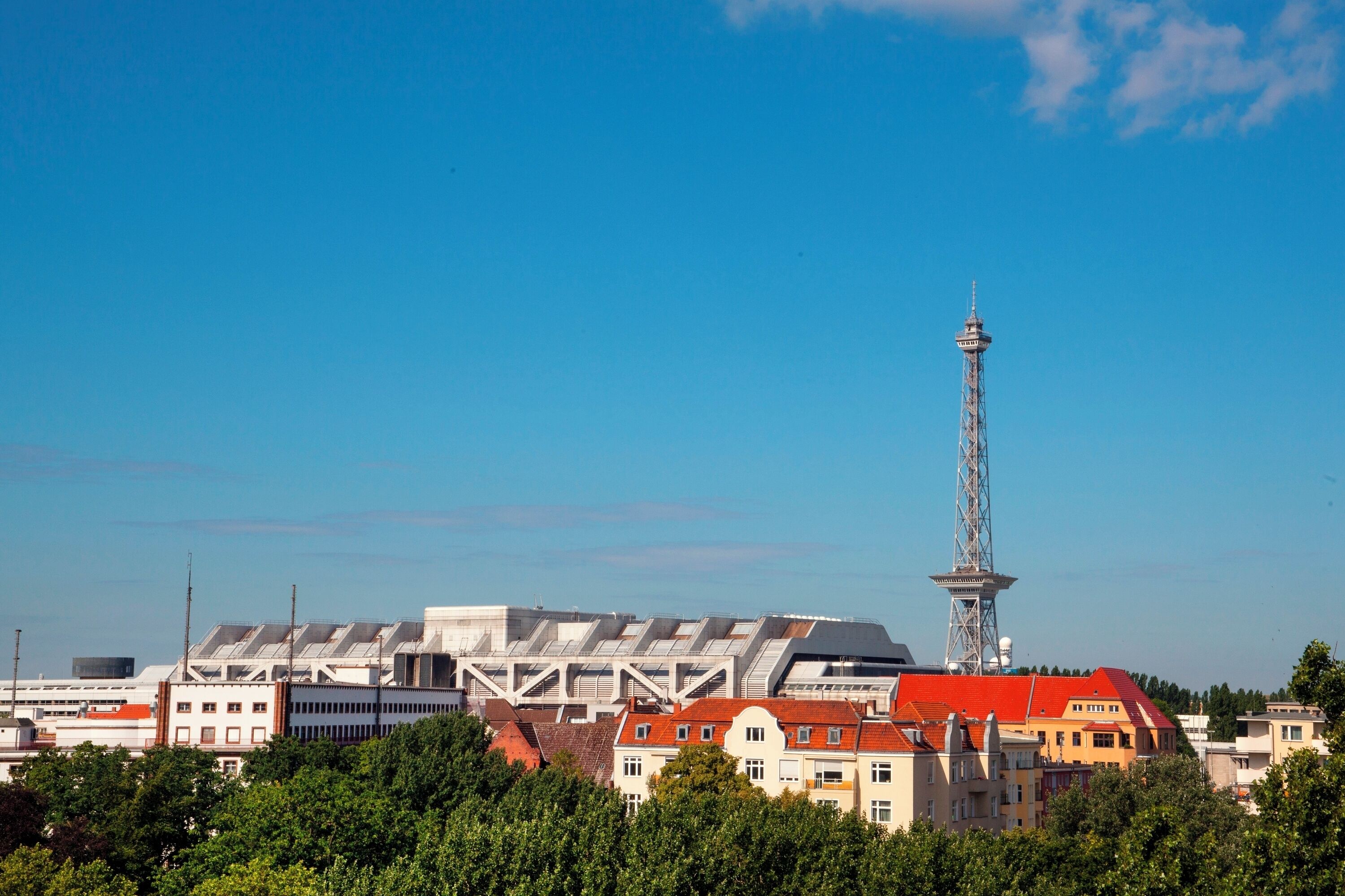 suite | view from room