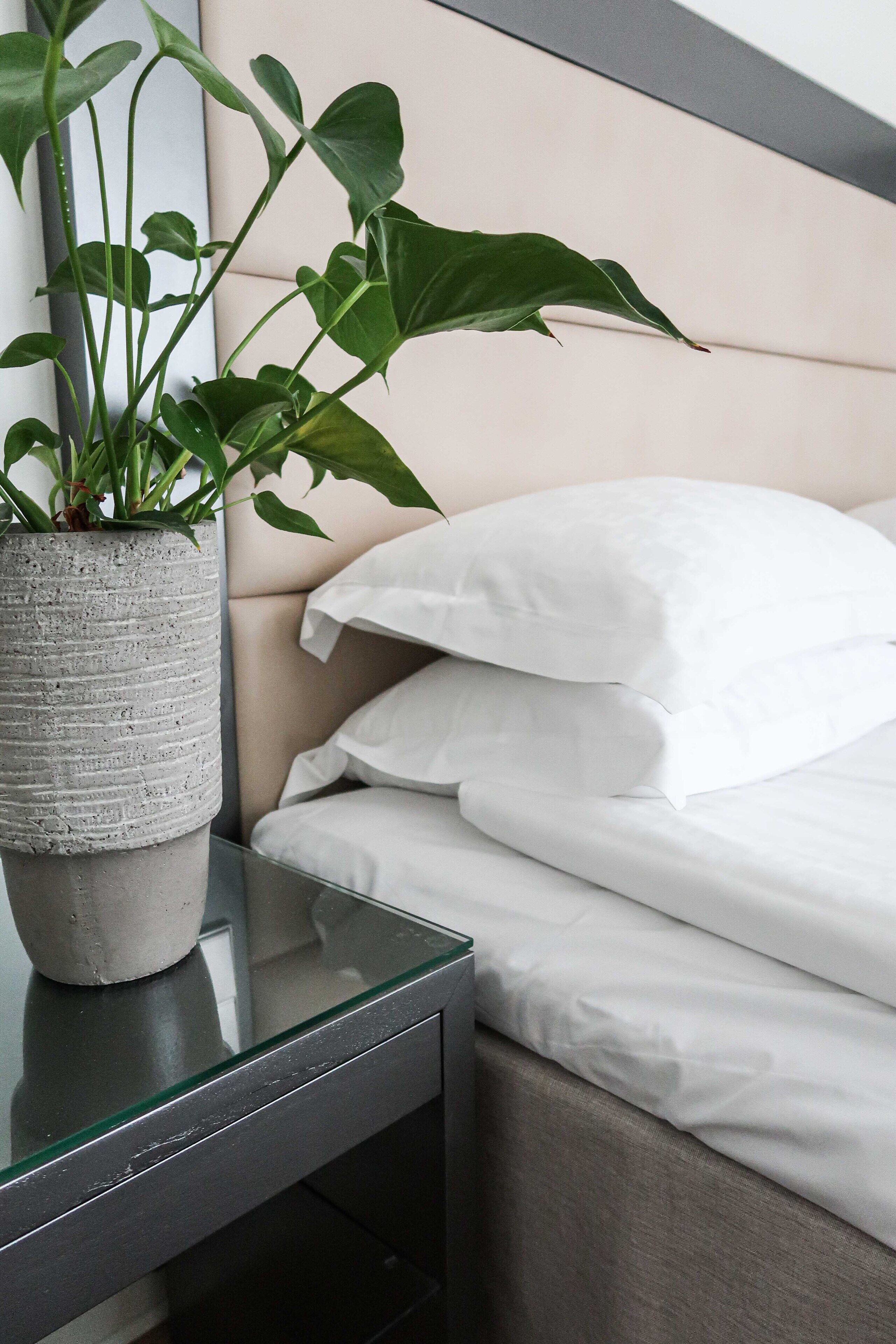 A modern bedroom with a bed, white pillows, and a potted plant on a bedside table.