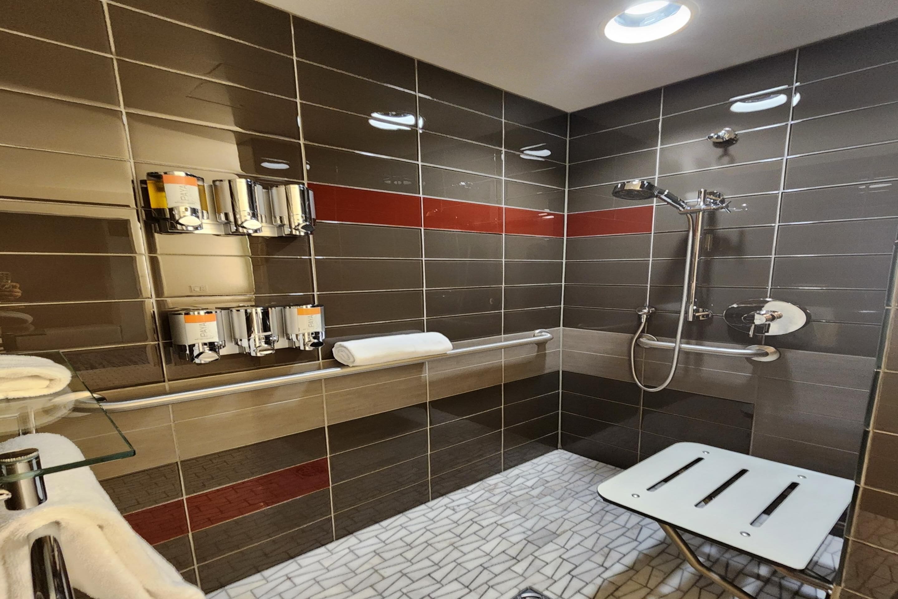 standard room, 1 king bed, accessible, city view | bathroom | shower, eco-friendly toiletries, hair dryer, bathrobes