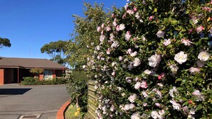 Un quartier résidentiel comprenant une maison, une allée et un jardin où les fleurs sont en pleine floraison.