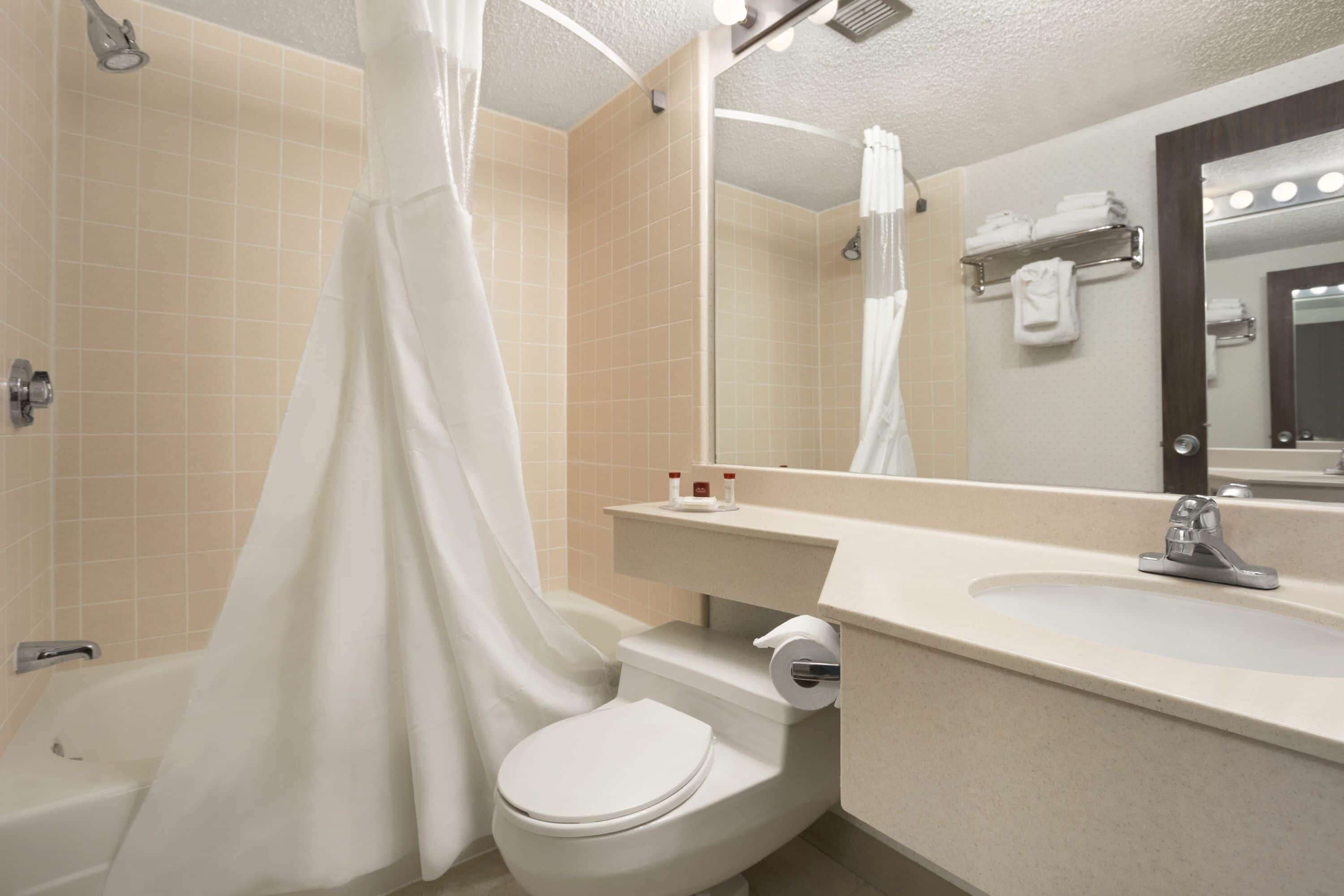 combined shower/bathtub, deep-soaking bathtub, free toiletries