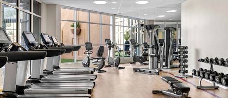A gym with treadmills, ellipticals, and free weights.