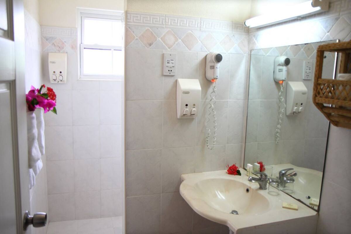 Free toiletries, hair dryer