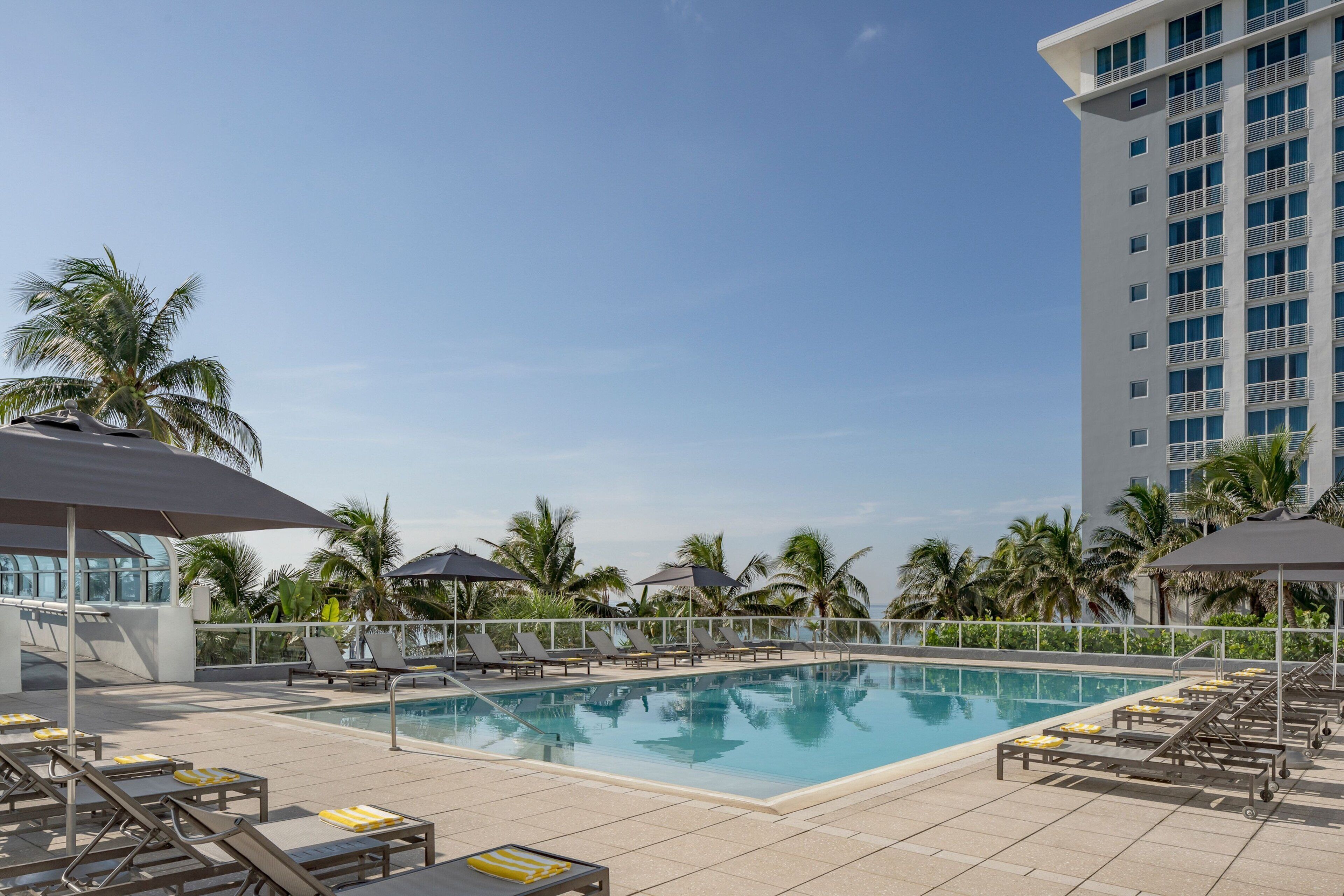 A swimming pool with lounge chairs and umbrellas, surrounded by palm trees and a tall building.