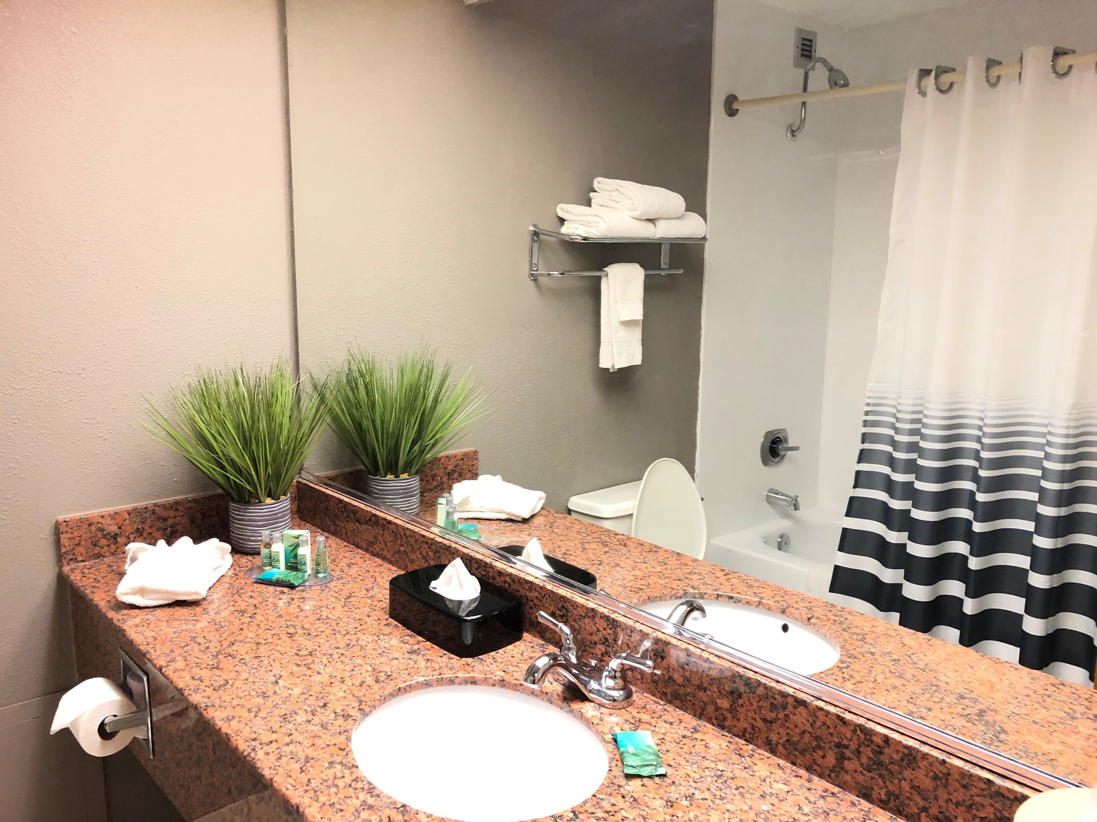 combined shower/bathtub, free toiletries, hair dryer, towels