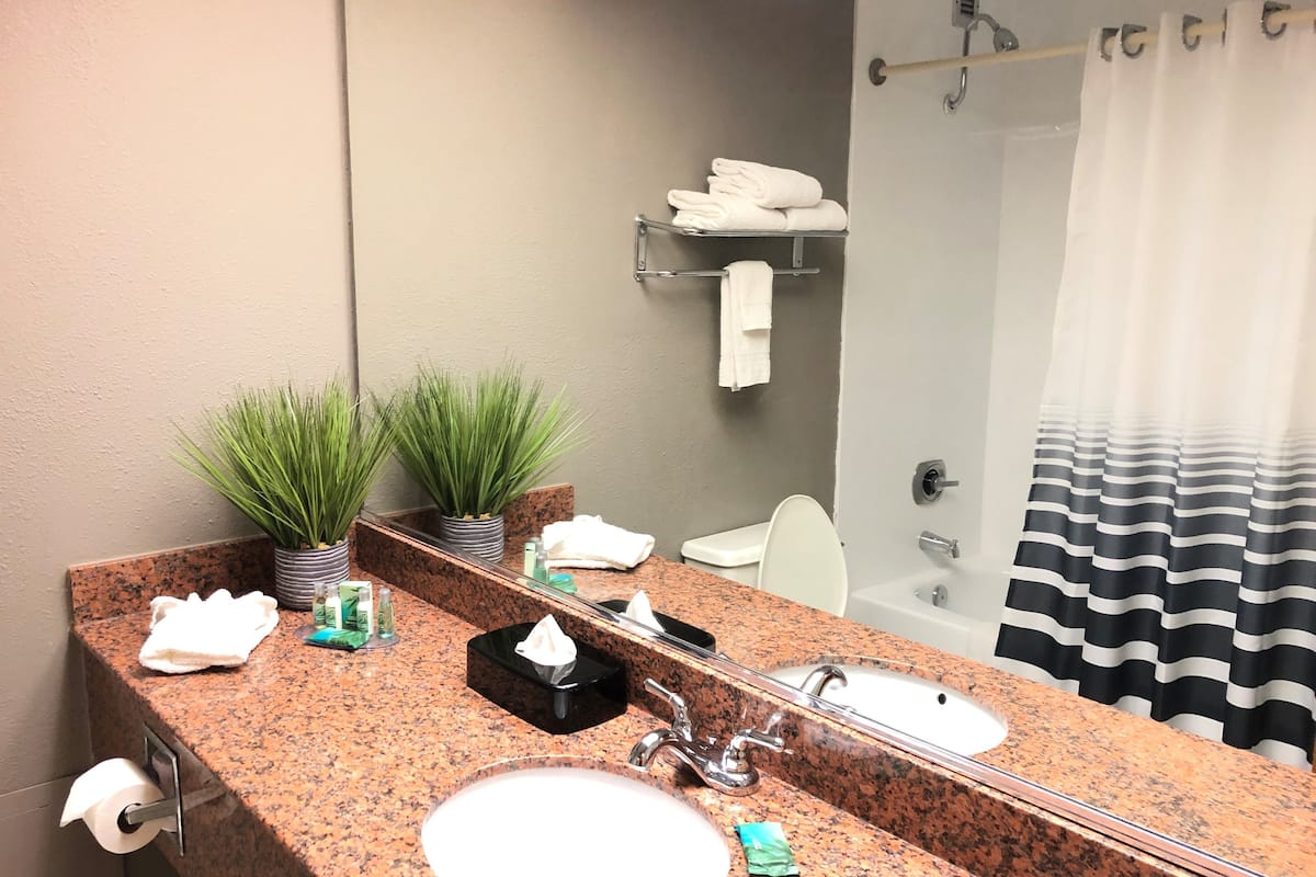 combined shower/bathtub, free toiletries, hair dryer, towels