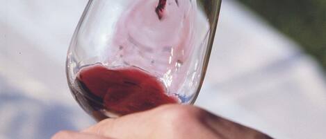 A hand holding a wine glass with red liquid.