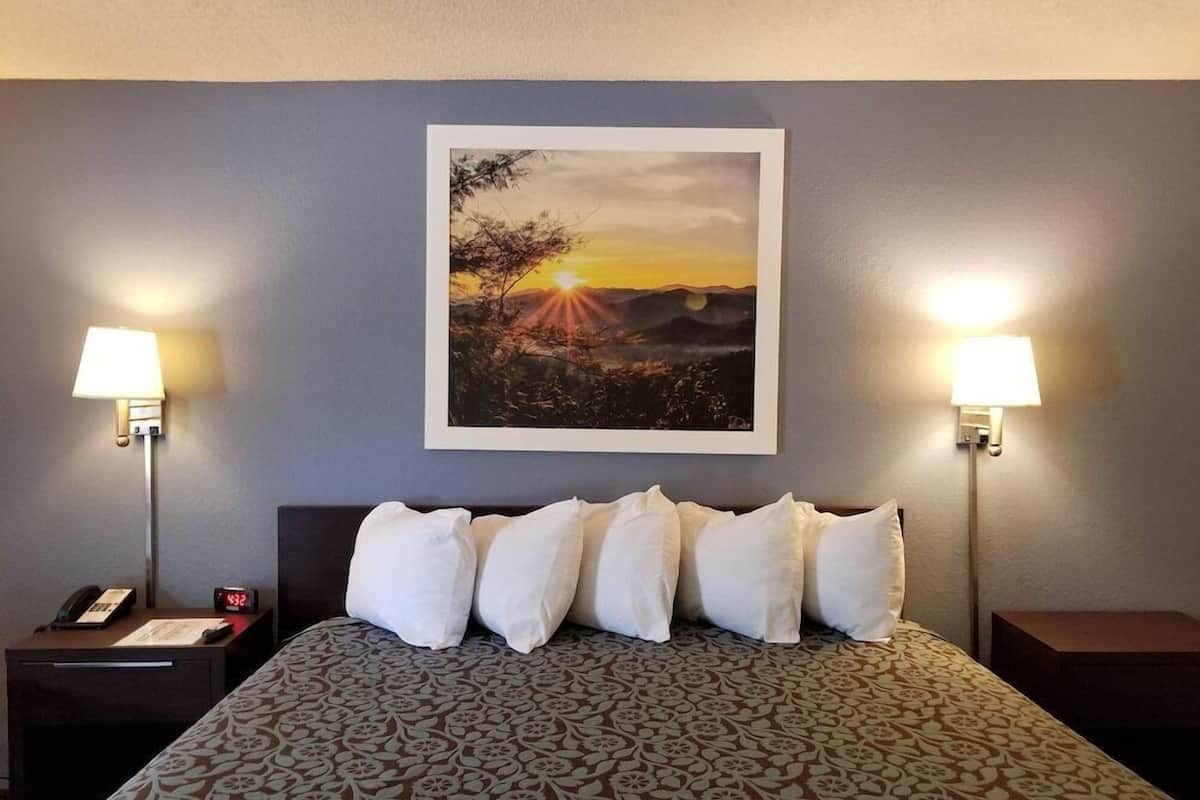 Blackout drapes, iron/ironing board, free WiFi, bed sheets