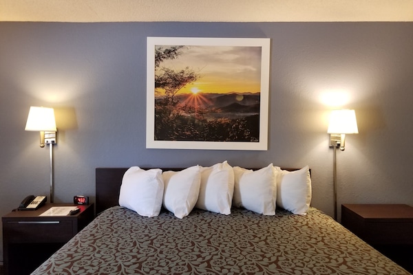 Blackout drapes, iron/ironing board, free WiFi, bed sheets