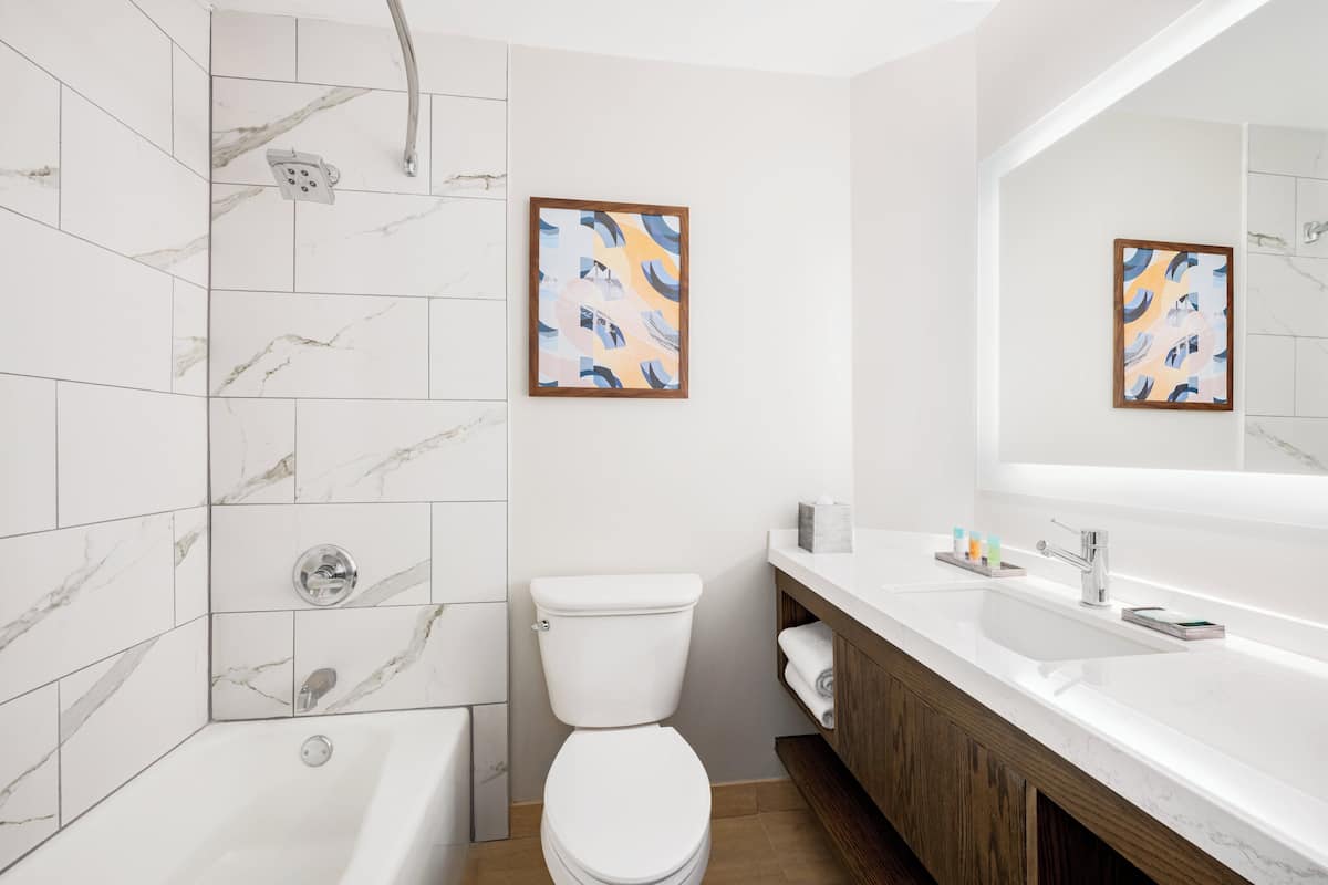 combined shower/bathtub, free toiletries, hair dryer, towels