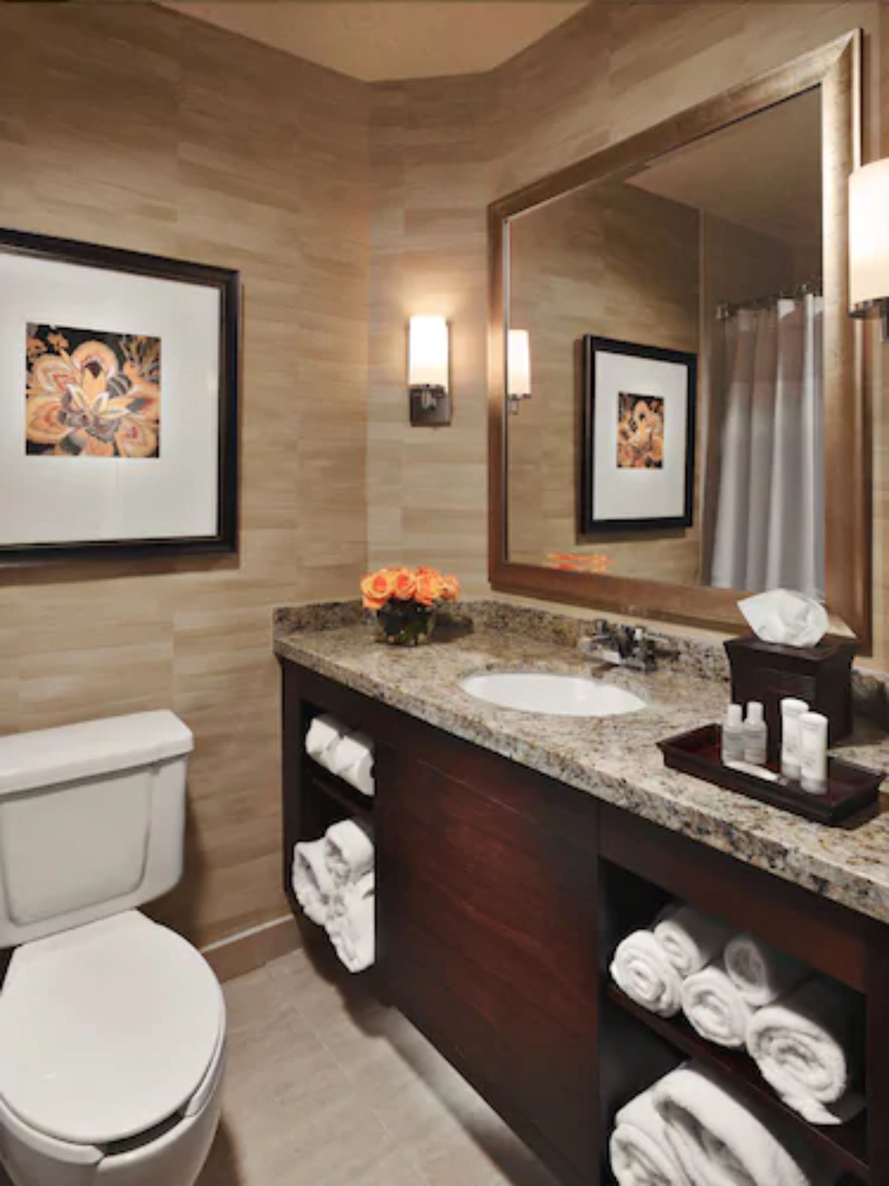 combined shower/bathtub, free toiletries, hair dryer, towels