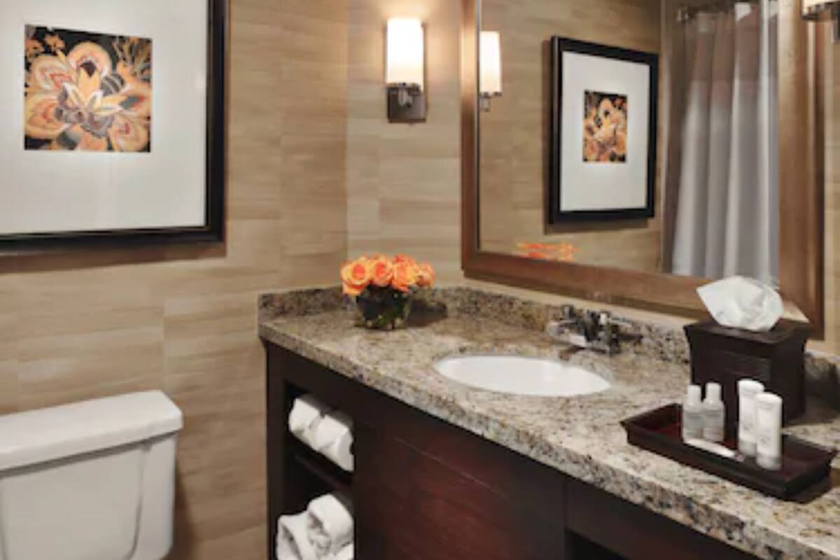 combined shower/bathtub, free toiletries, hair dryer, towels