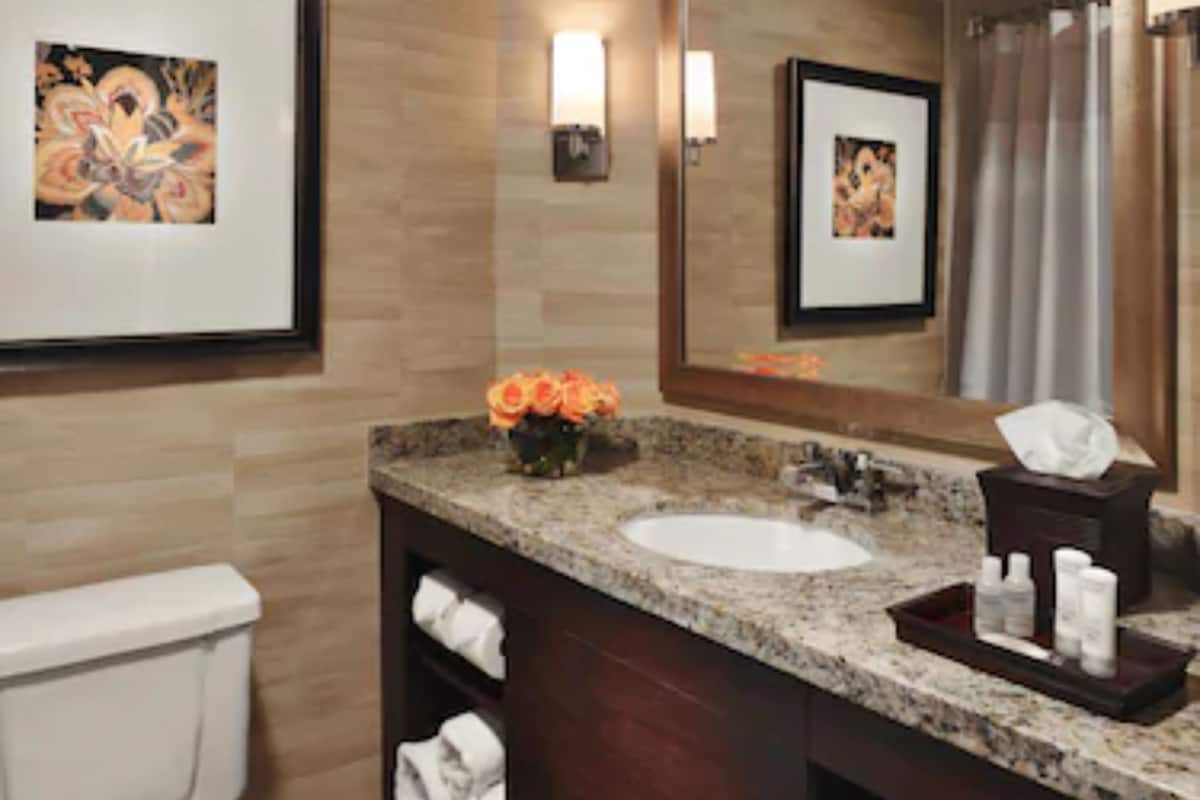 Combined shower/bathtub, free toiletries, hair dryer, towels